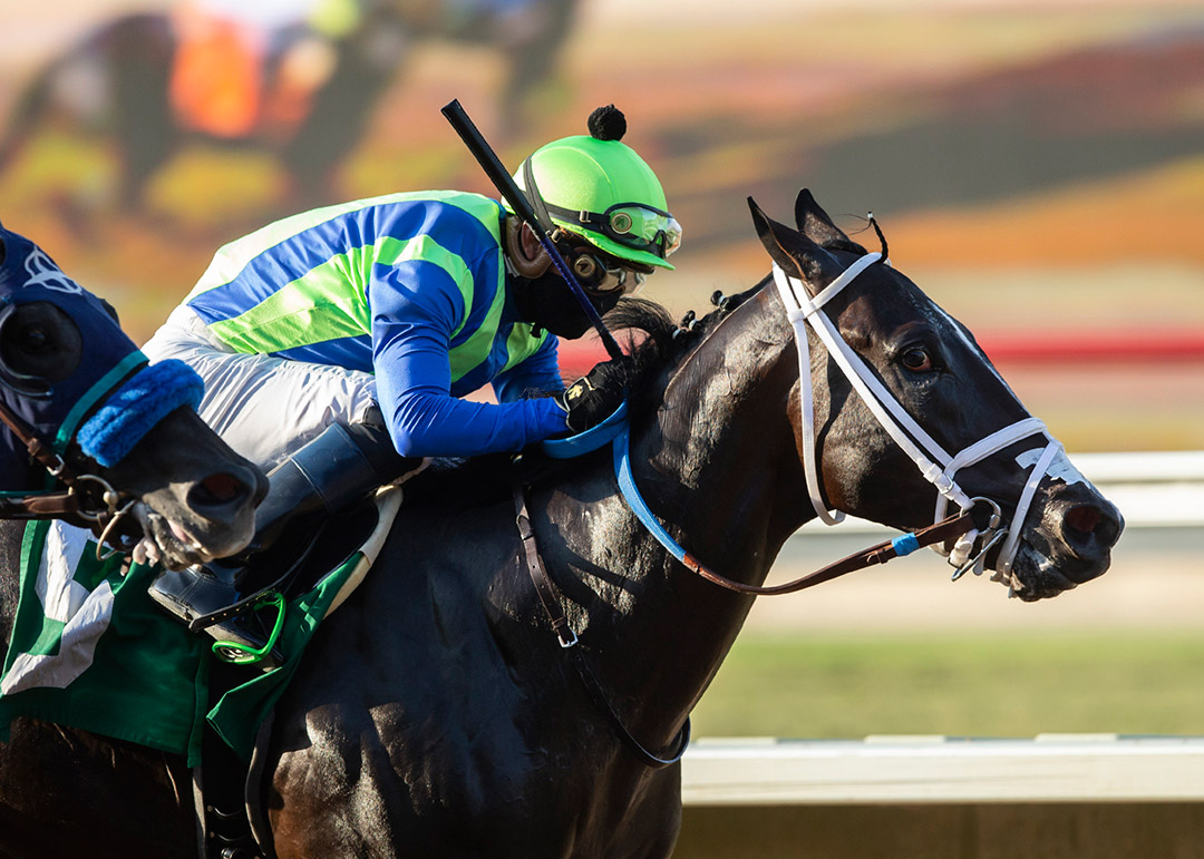 Good With People wins the I'm Smoking Stakes at Del Mar