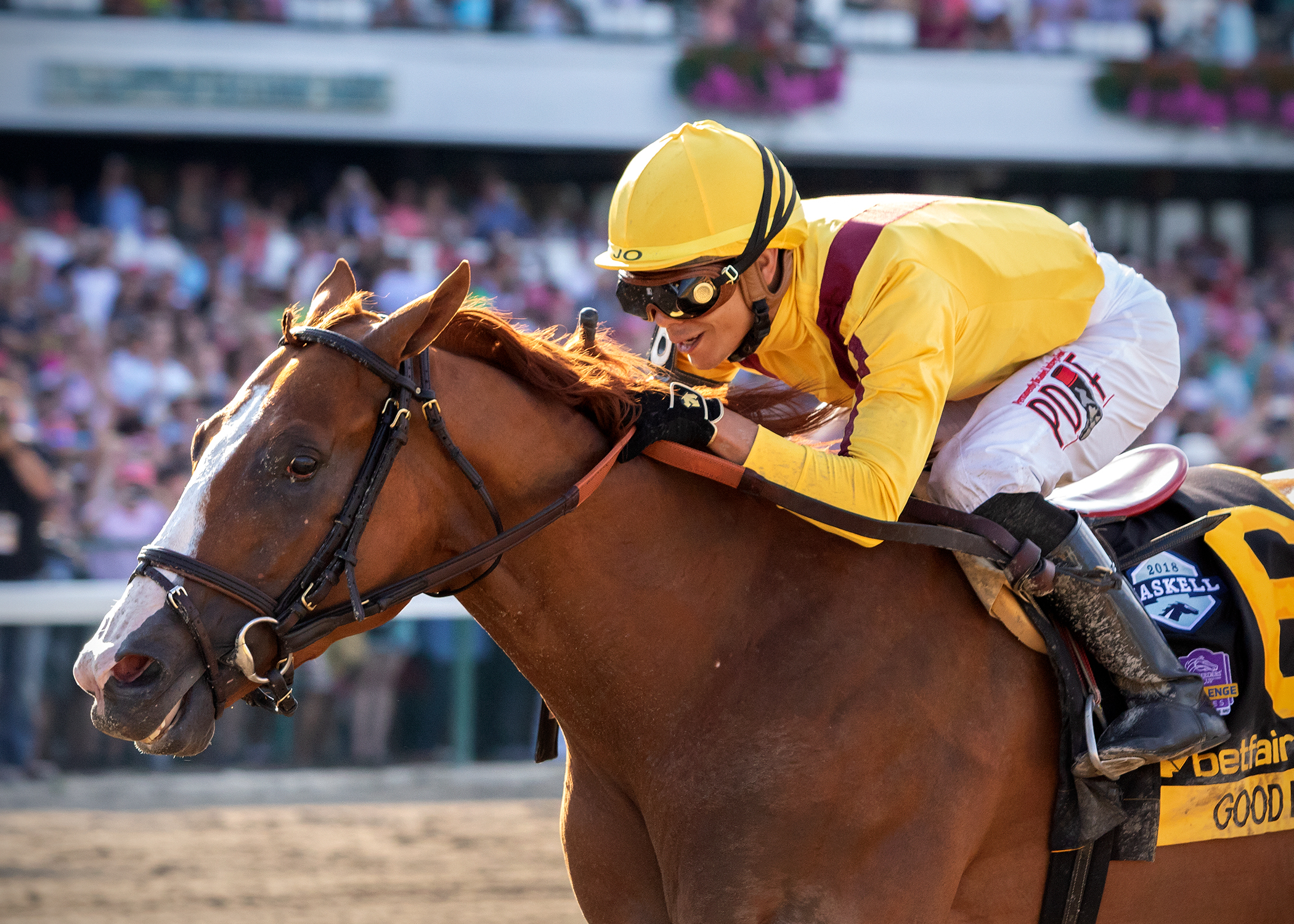 Good Magic wins 2018 Haskell (Nicole Marie)