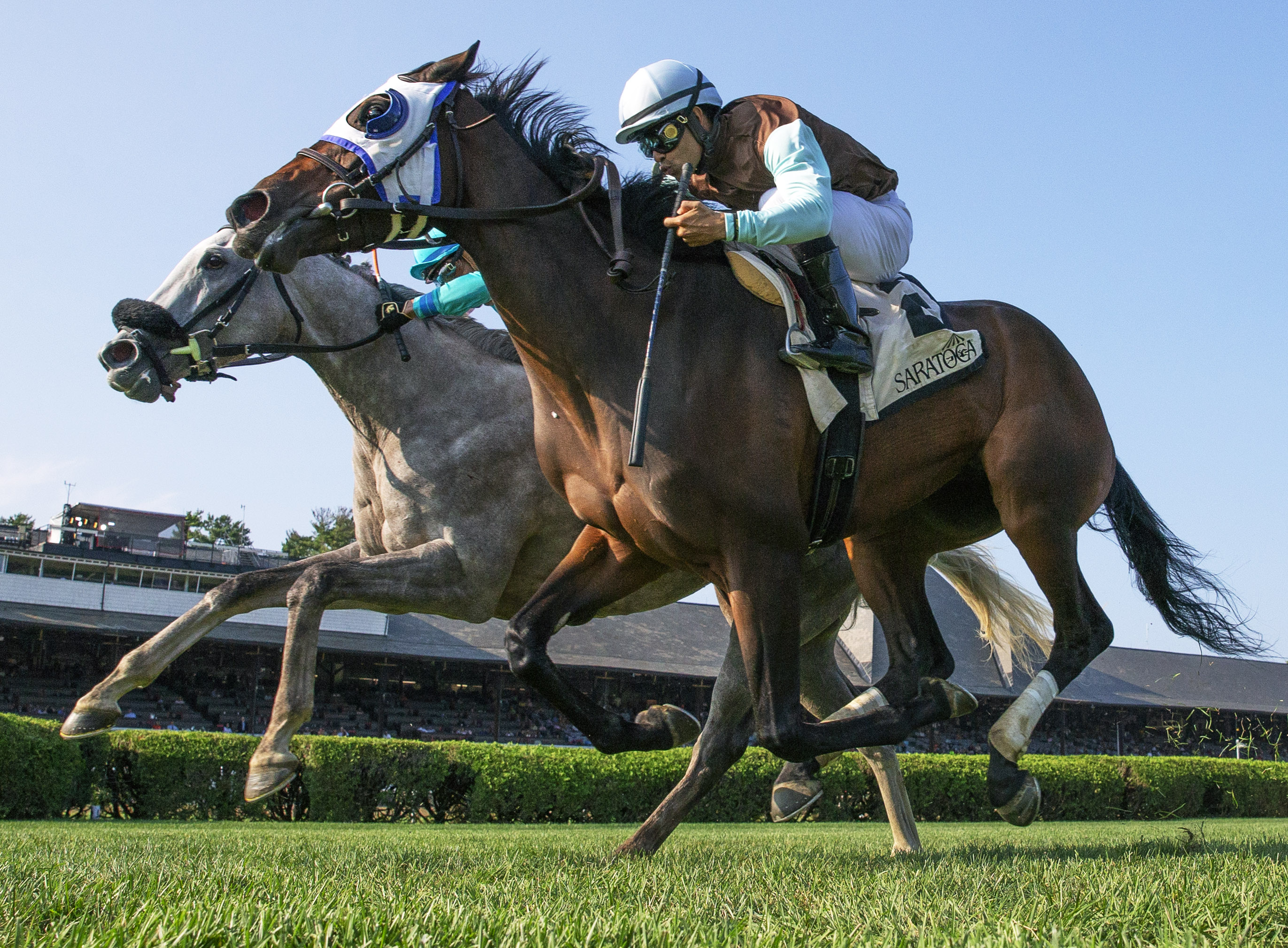 Goodbye Brockley (right) wins the 2018 NYSS Statue of Liberty