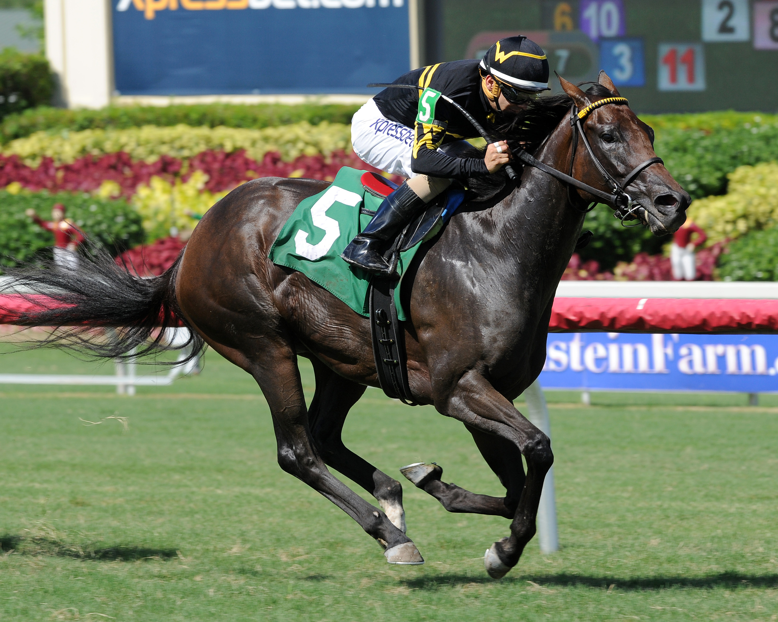 Goodbye Sorrow wins an allowance optional claiming race in June 2016