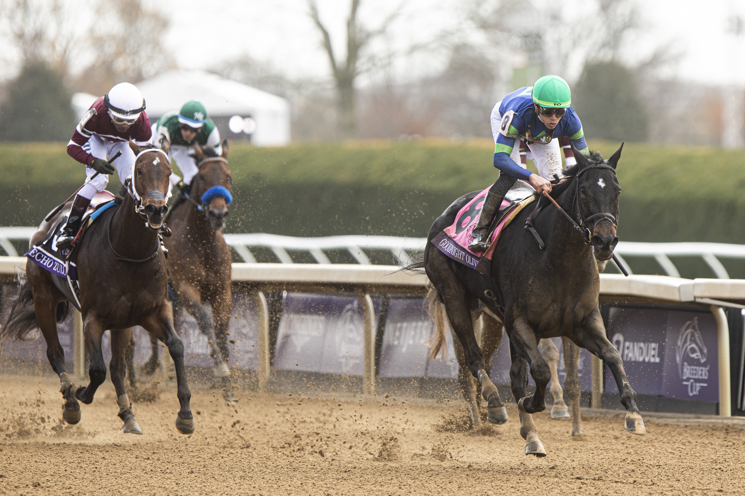 Goodnight Olive wins BC Filly and Mare Sprint at Keeneland Nov 5 2022