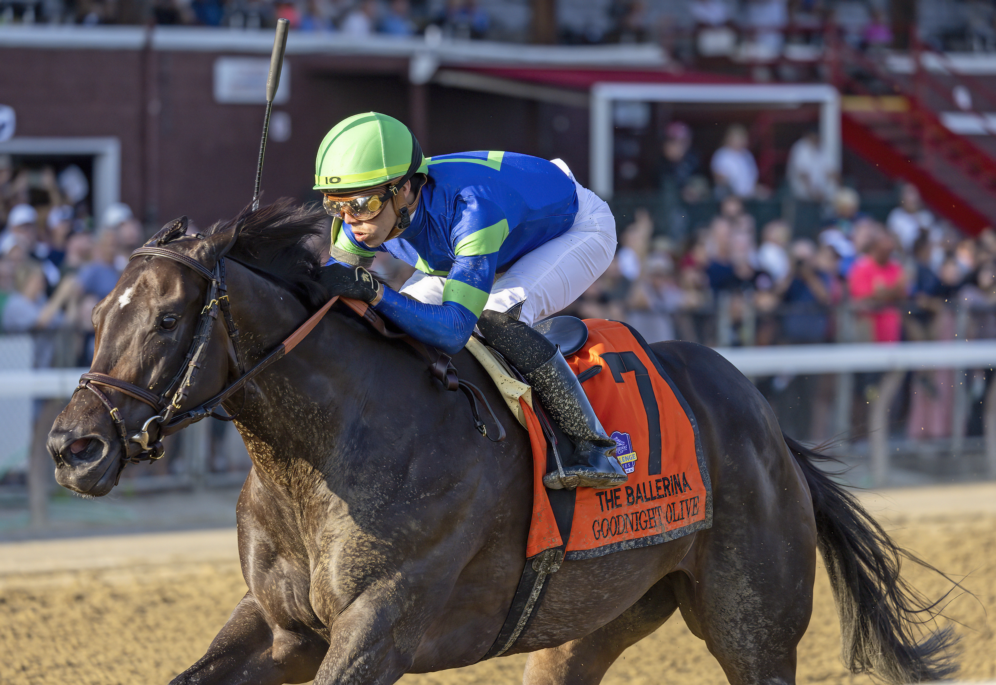 Goodnight Olive wins Ballerina 8-28-2022