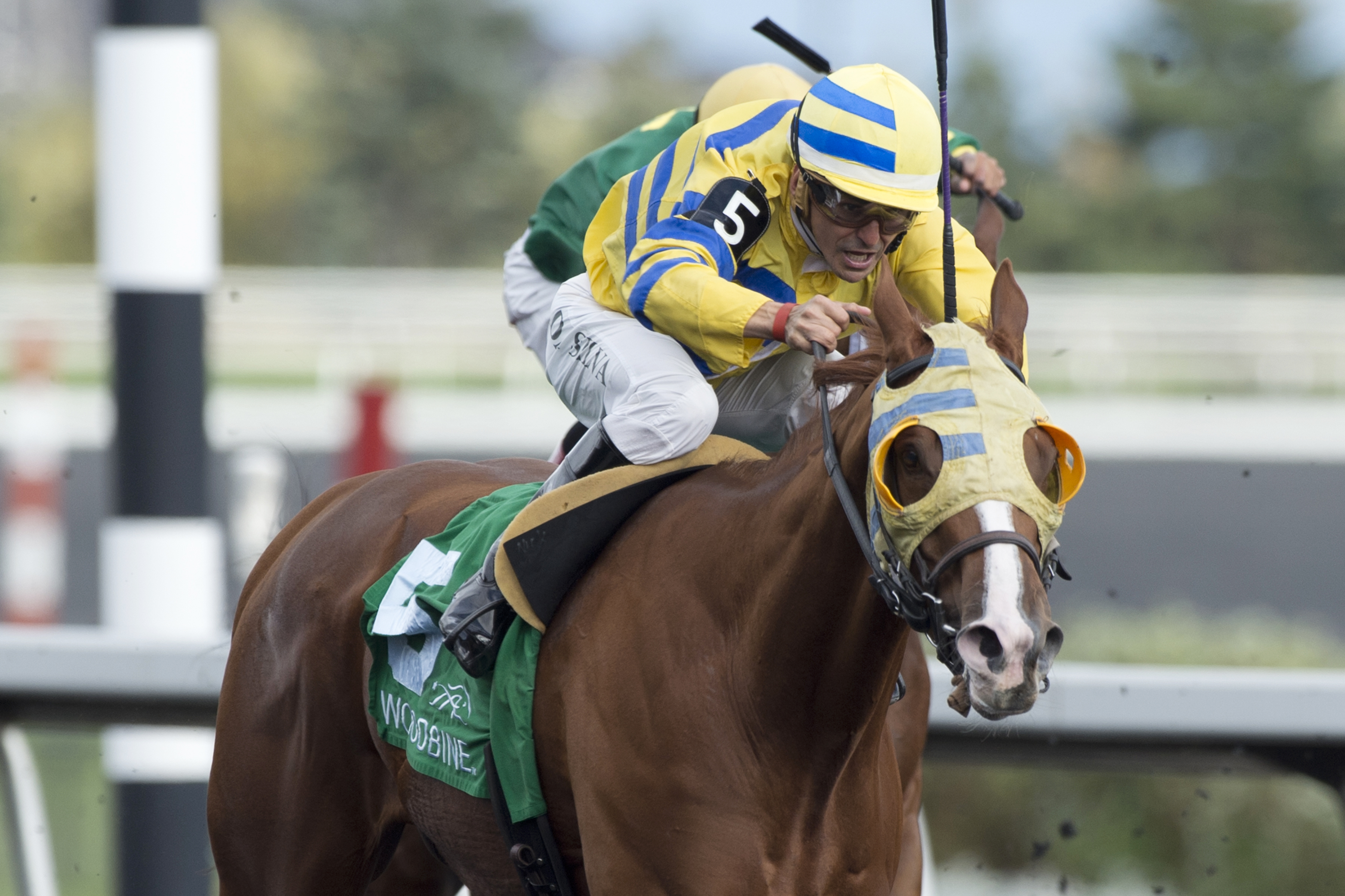 Goodoldhockeygame wins the Overskate Stakes