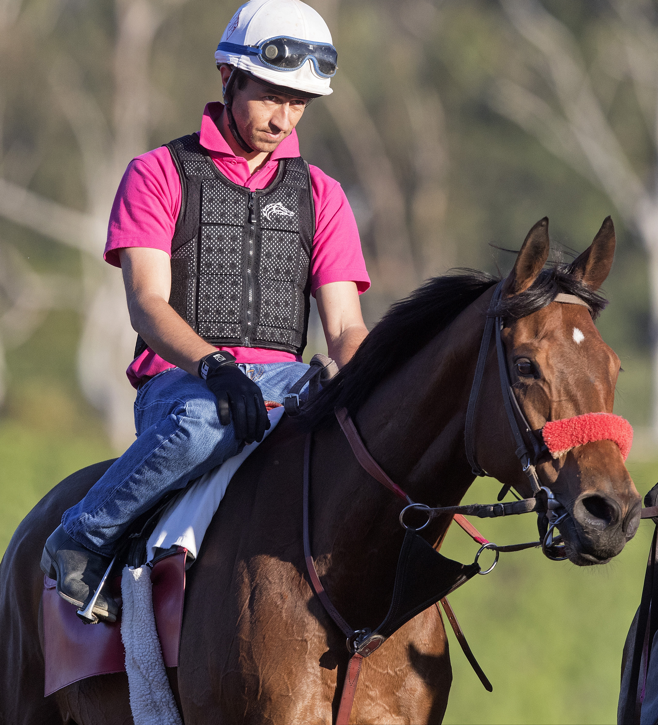 Goodyearforroses at Santa Anita on March 9
