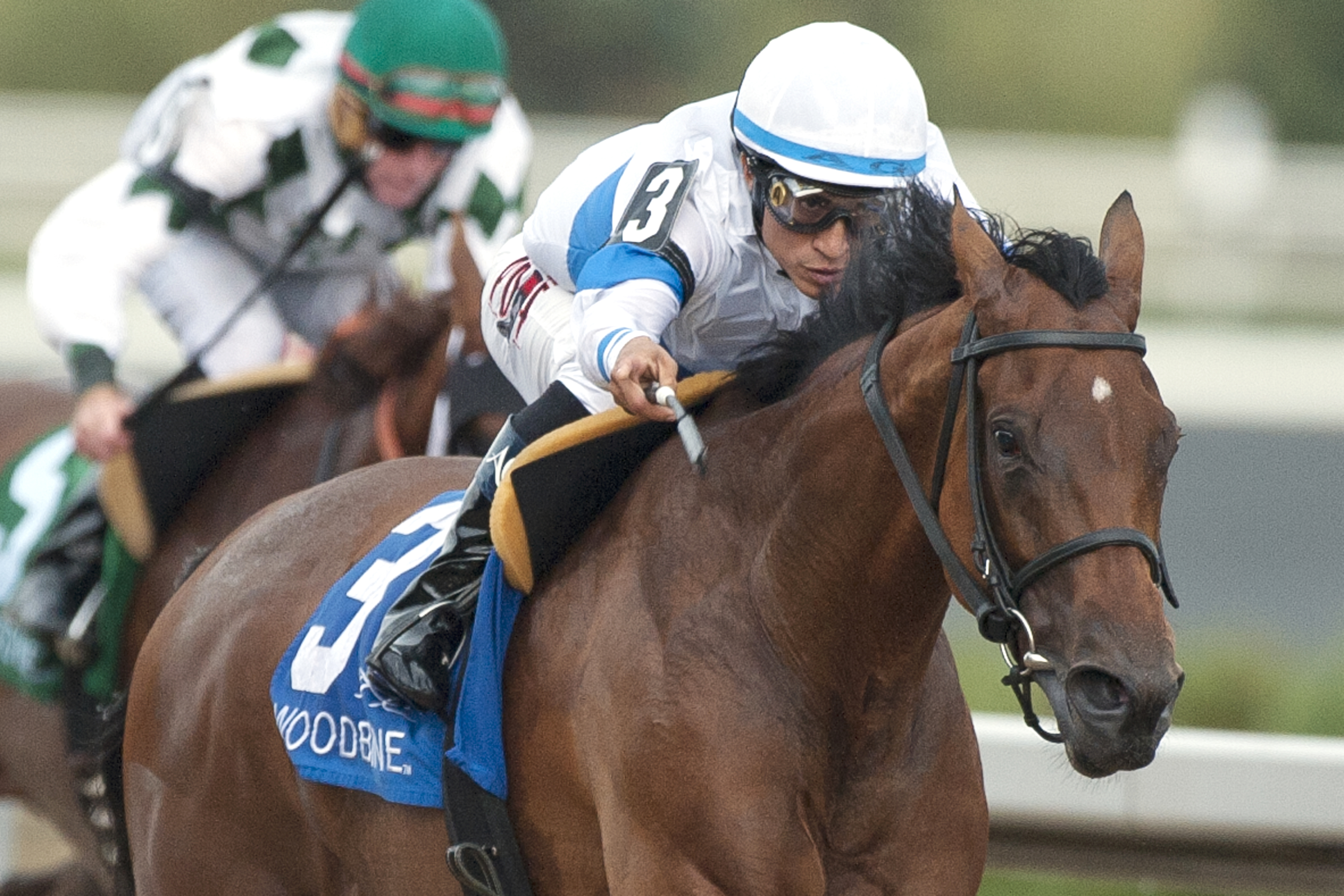Goodyearforroses wins the Flaming Page Stakes