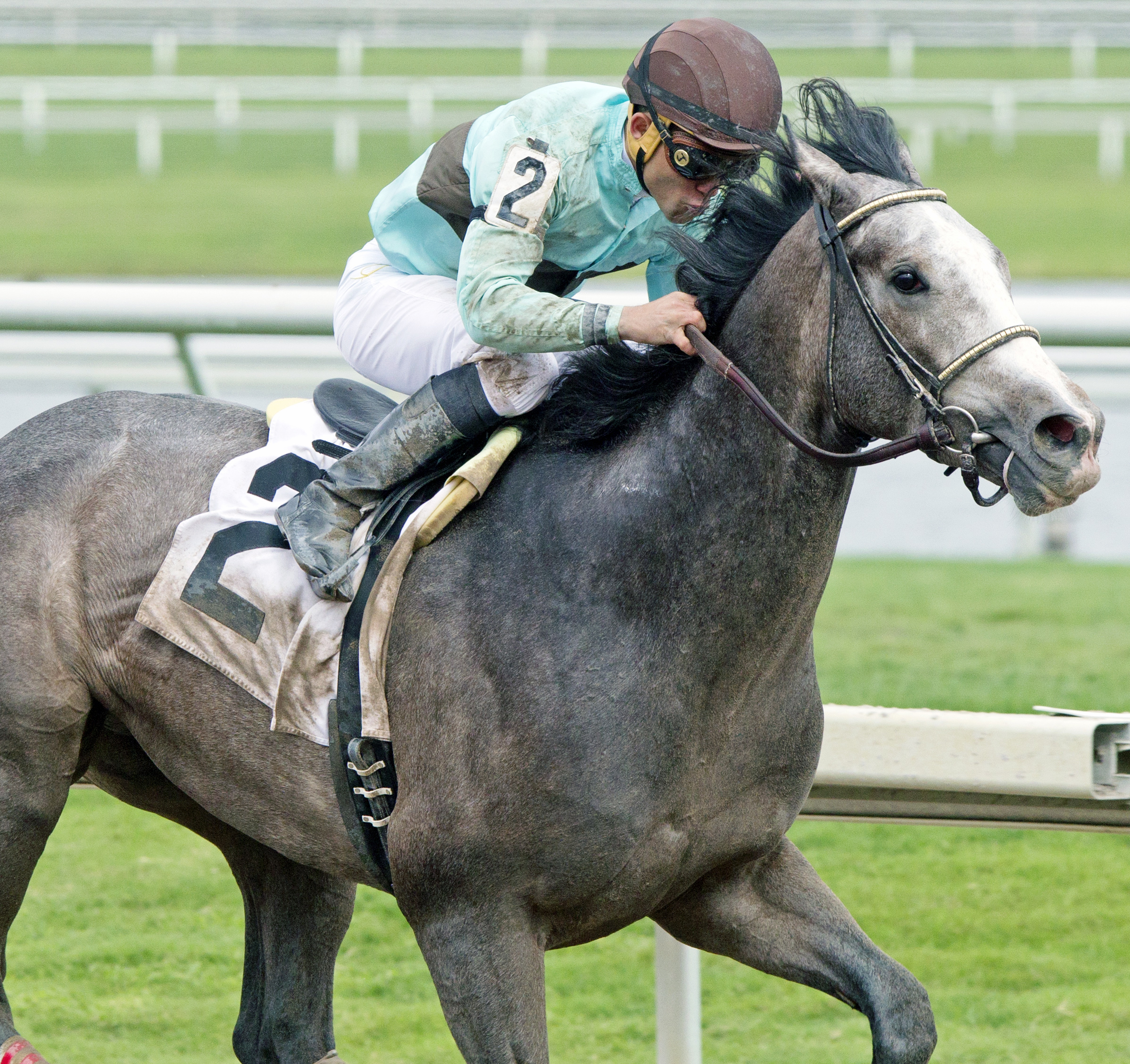 Gorgeous Bird wins an allowance race