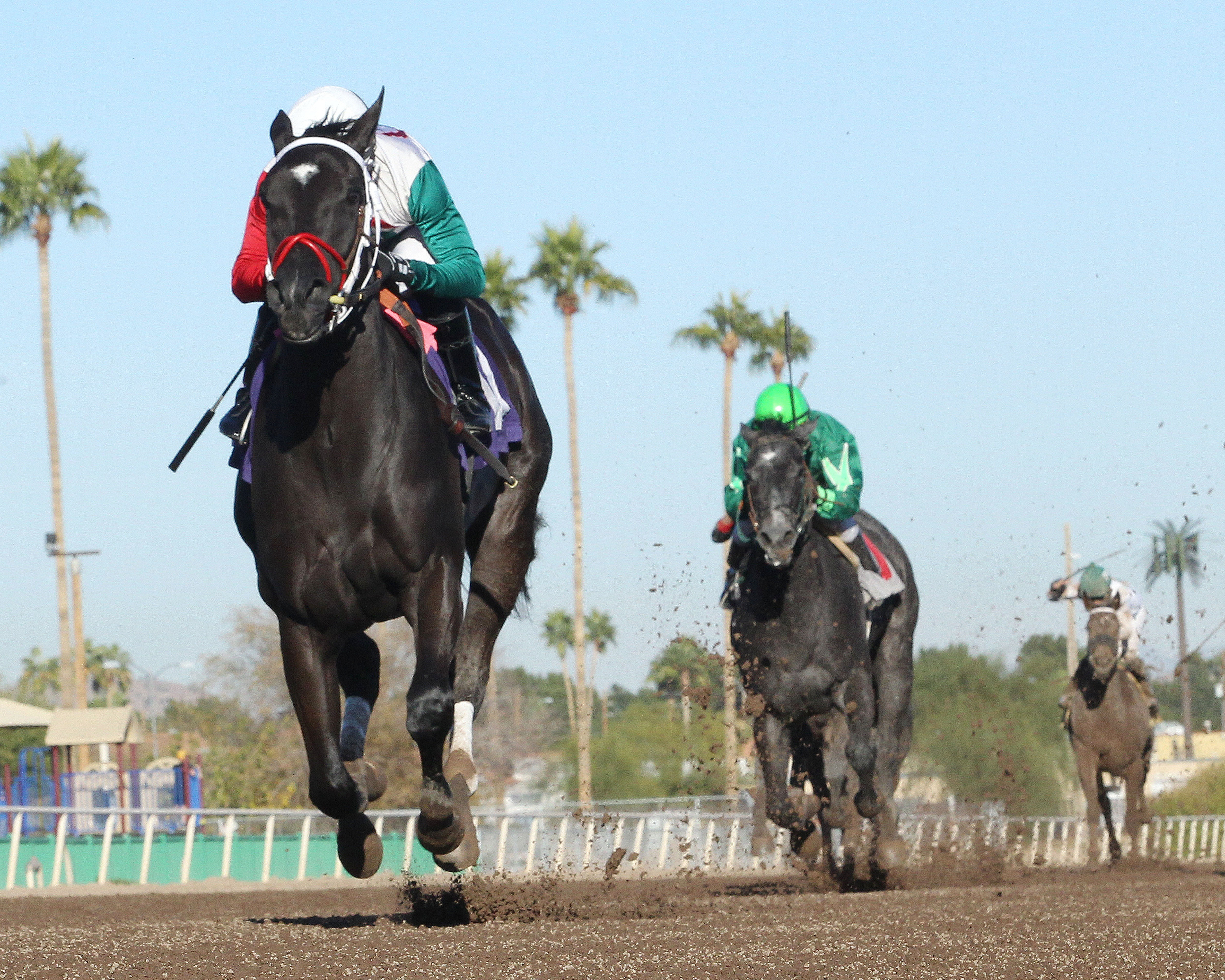 Gorgeous Ginny wins the 2017 Arizona Juvenile Fillies Stakes