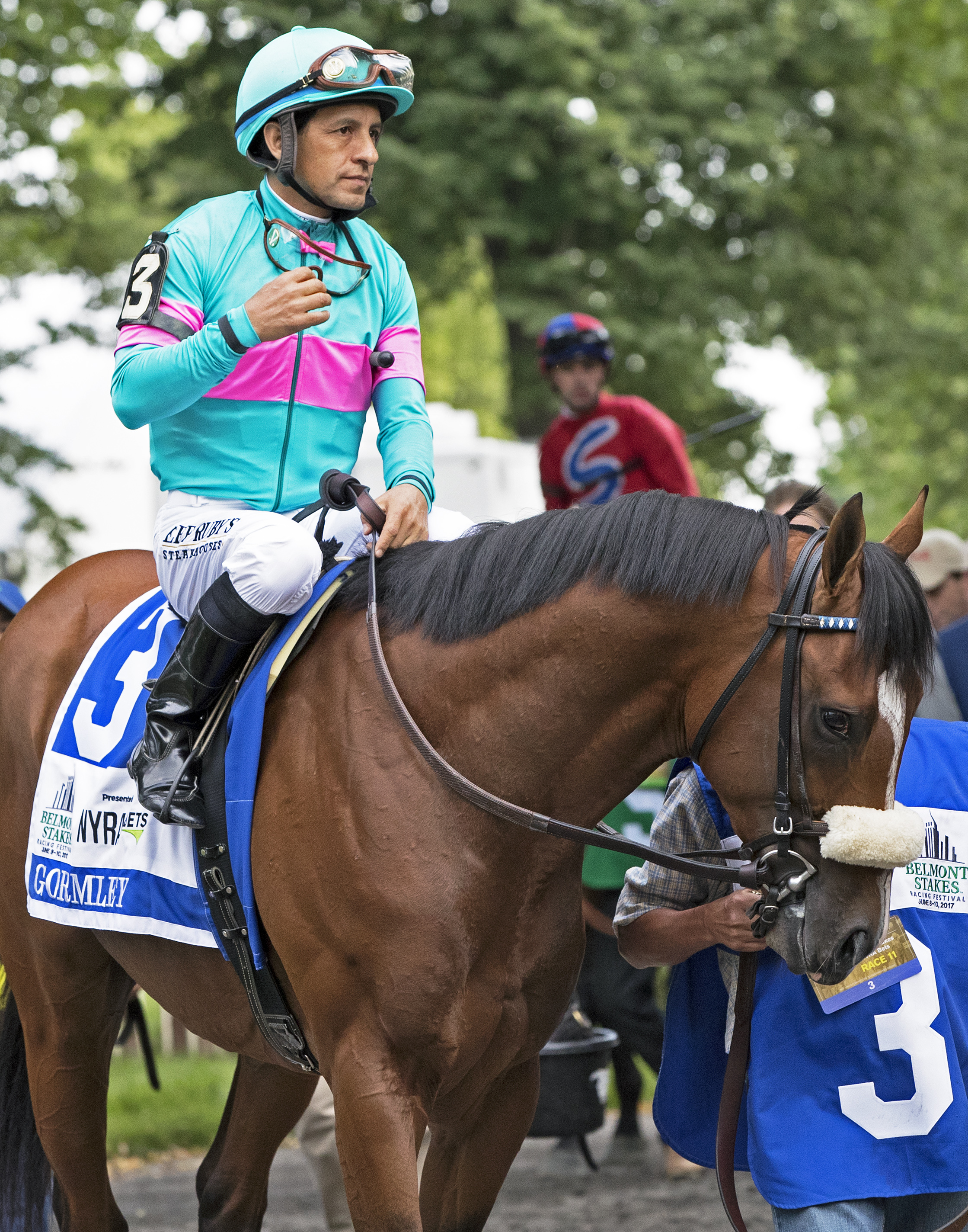 Gormley in the paddock before the 2017 Belmont Stakes