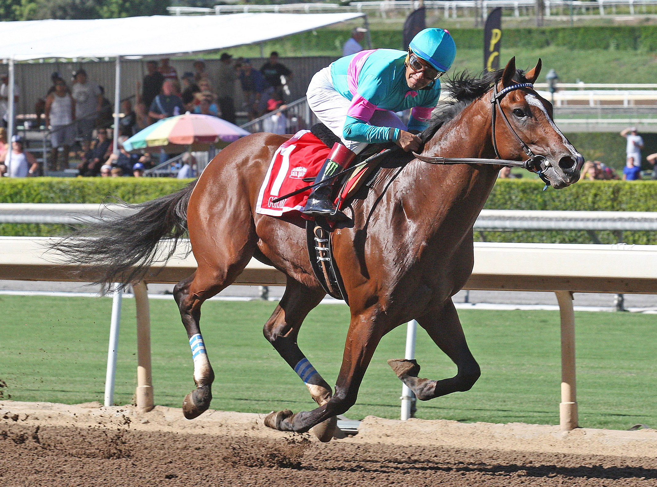 Gormley wins the FrontRunner Stakes