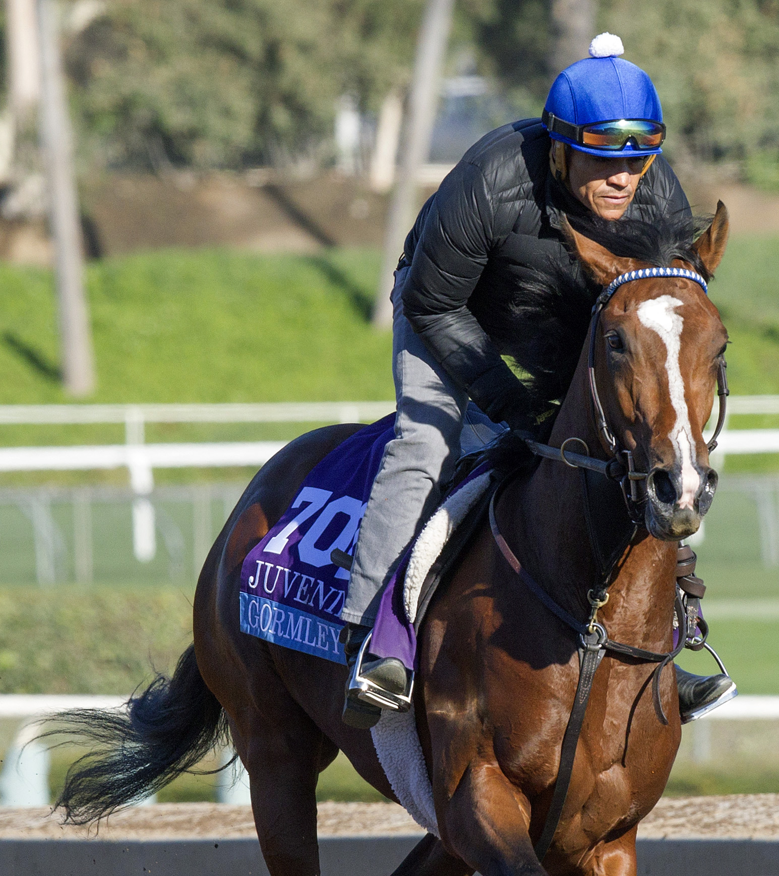 Gormley trains at Santa Anita on Nov. 2