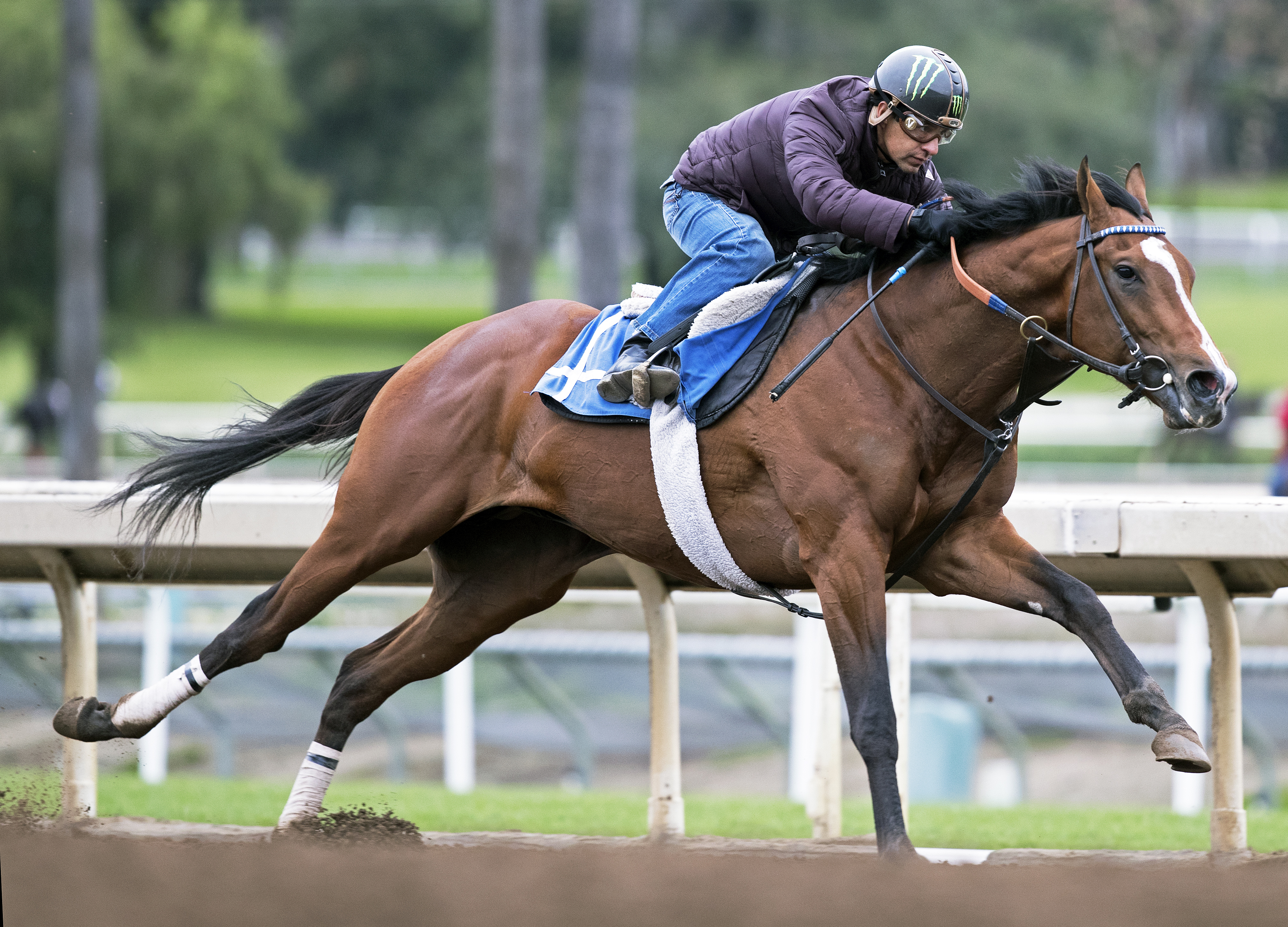 Gormley trains at Santa Anita on Feb. 27