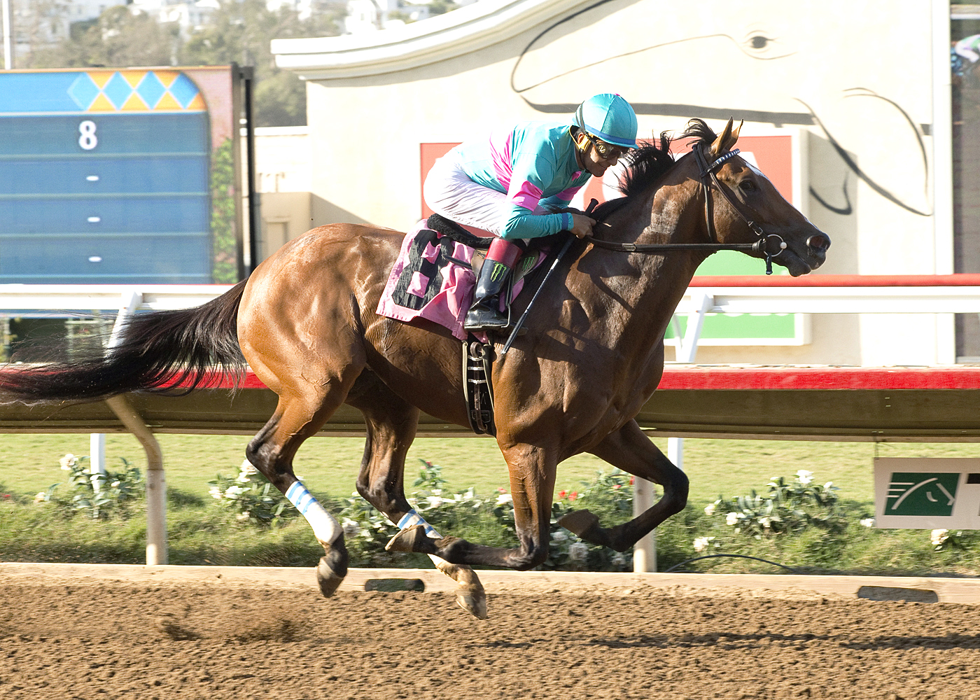 Gormley wins a maiden race