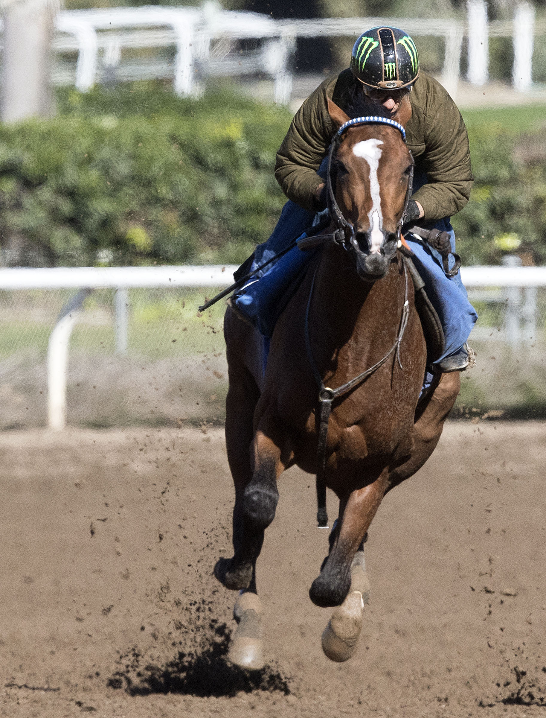 Gormley trains at Santa Anita on March 6