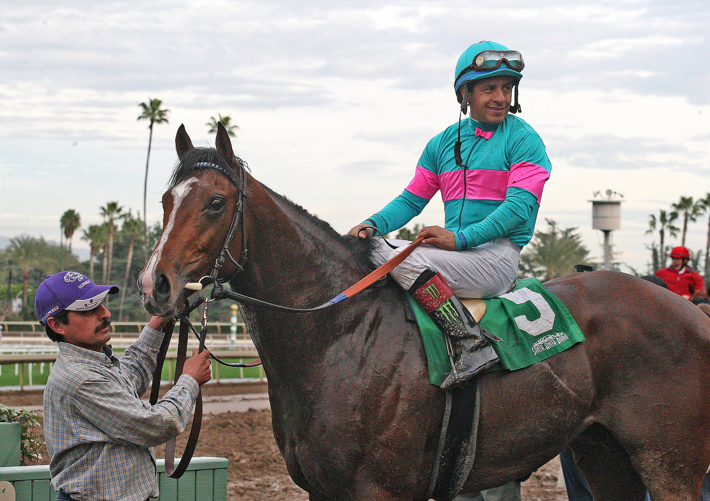 Gormley after the Sham Stakes