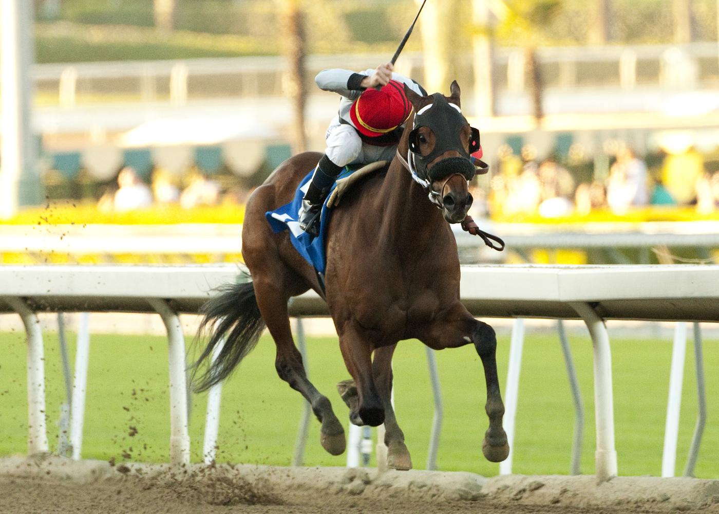 Got Even/California Breeders Champion Stakes