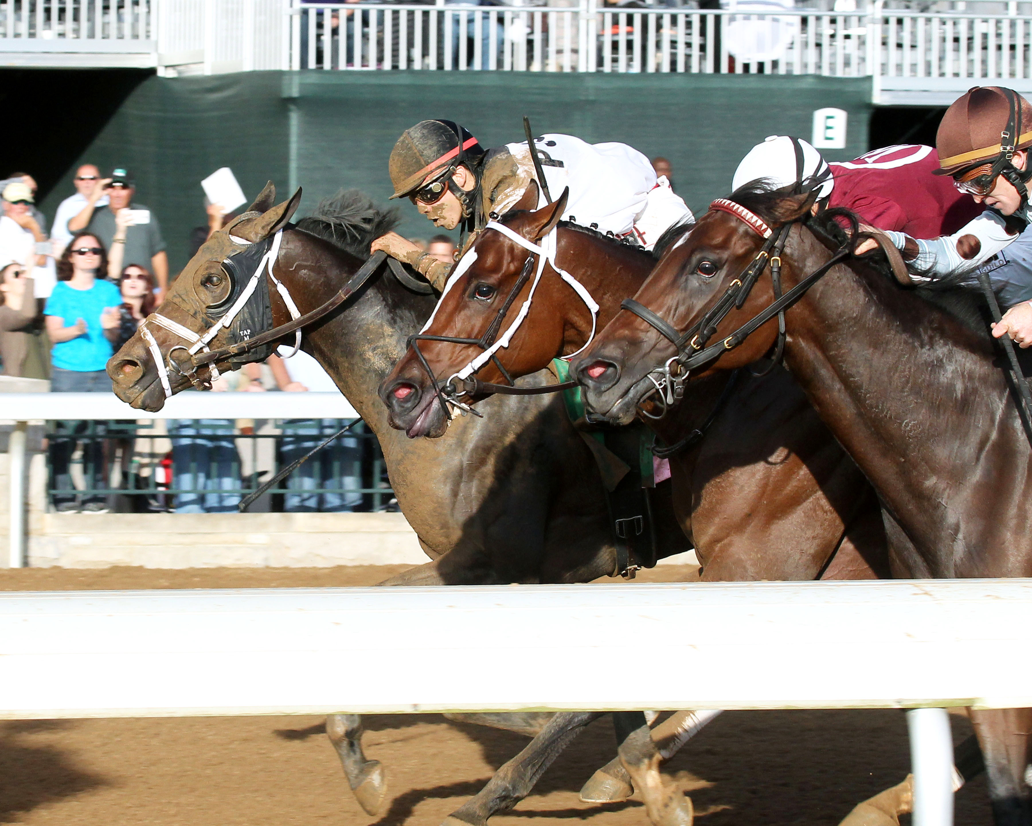 Got Lucky wins the Spinster Stakes