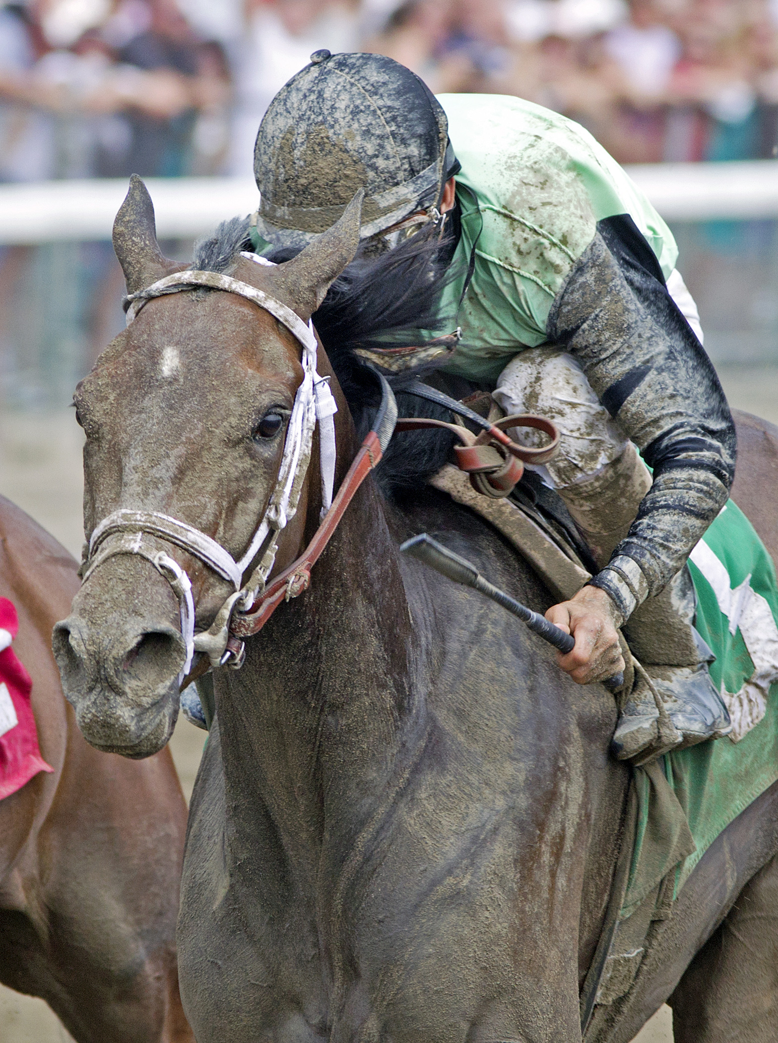 Got Lucky wins an allowance race