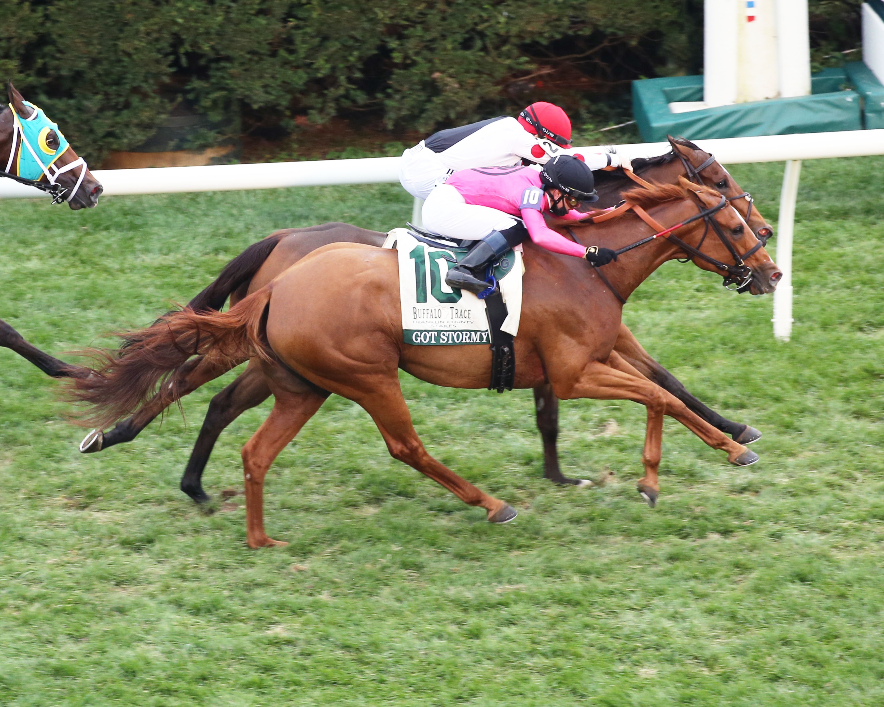 Got Stormy (outside) nips Into Mystic in the Buffalo Trace Franklin County at Keeneland. 10-9-2020