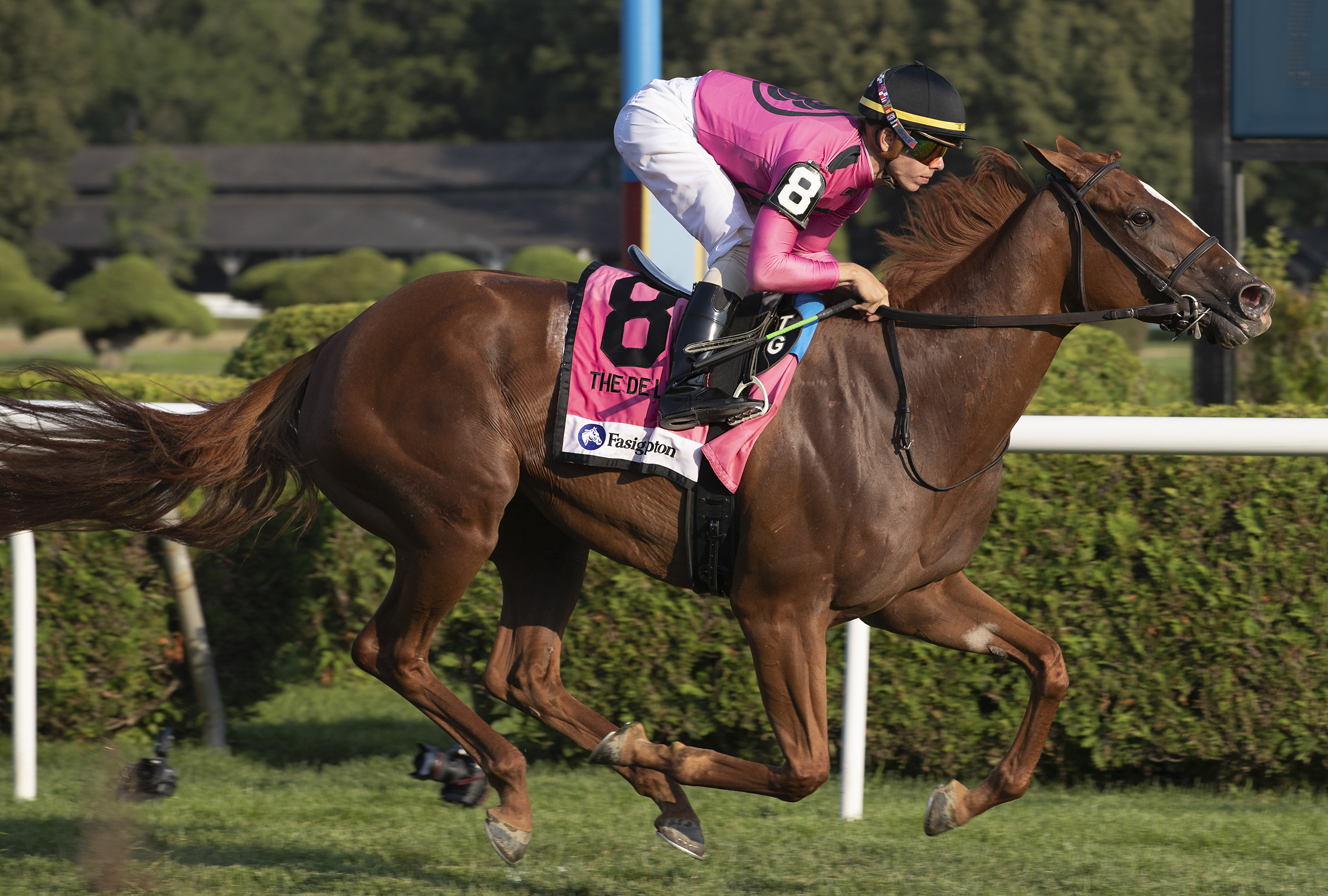 Got Stormy wins the 2019 De La Rose