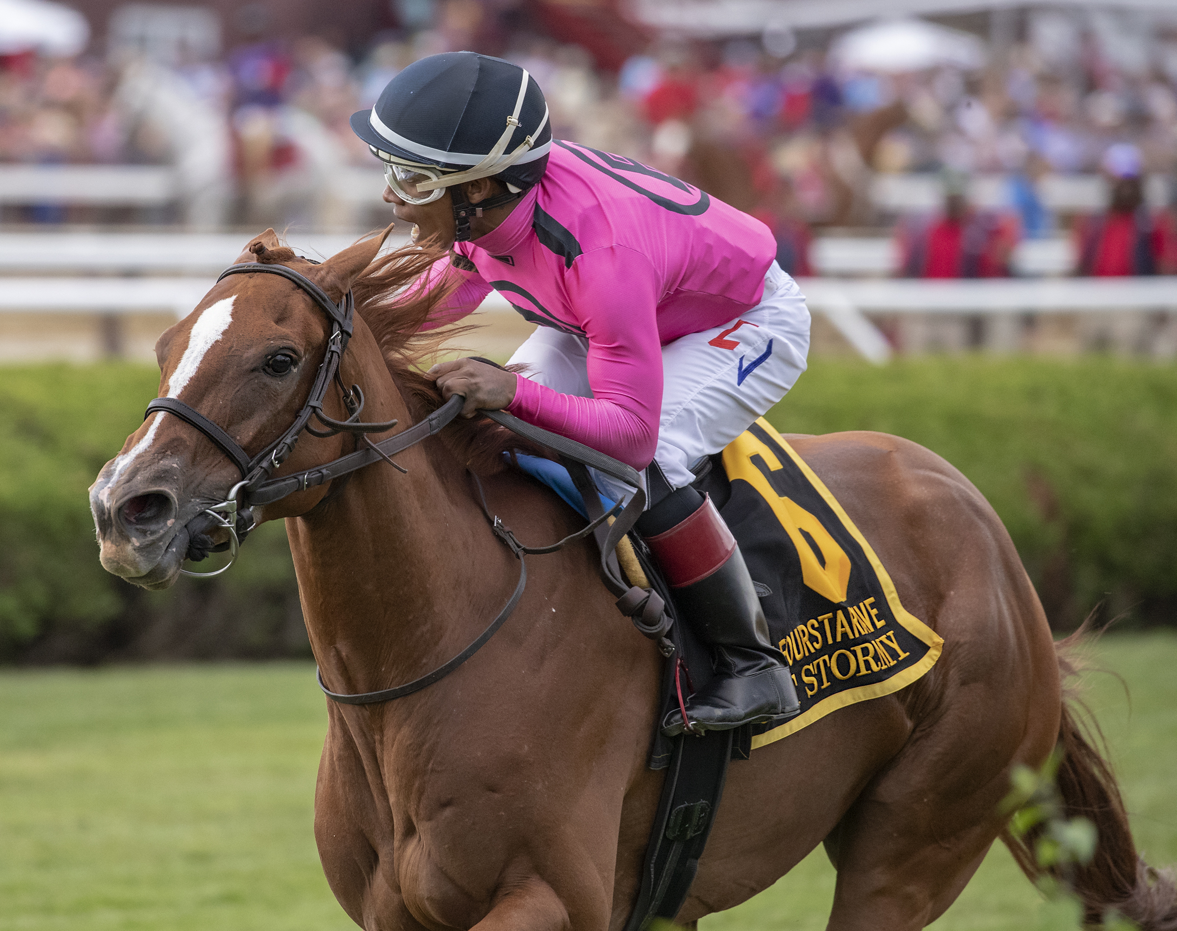 Got Stormy wins the 2019 Fourstardave