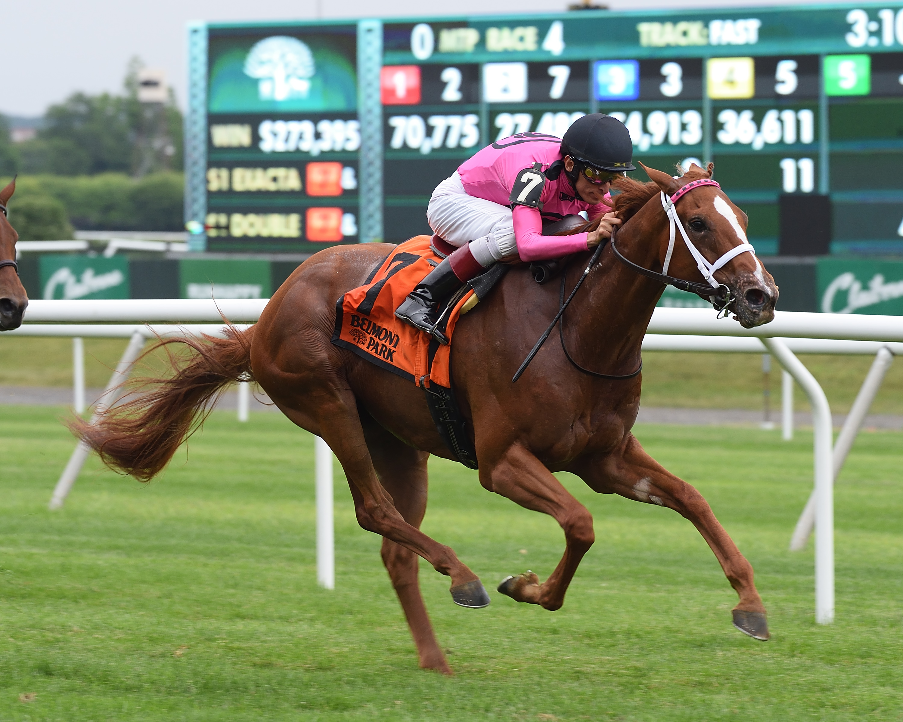 Got Stormy wins 2018 Wild Applause