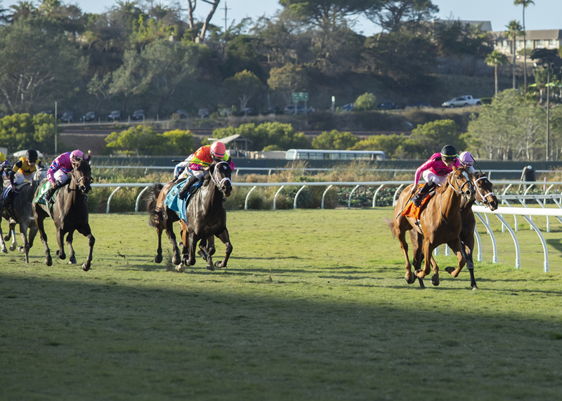 Got Stormy (black cap) en route to victory in the 2019 Matriarch Stakes