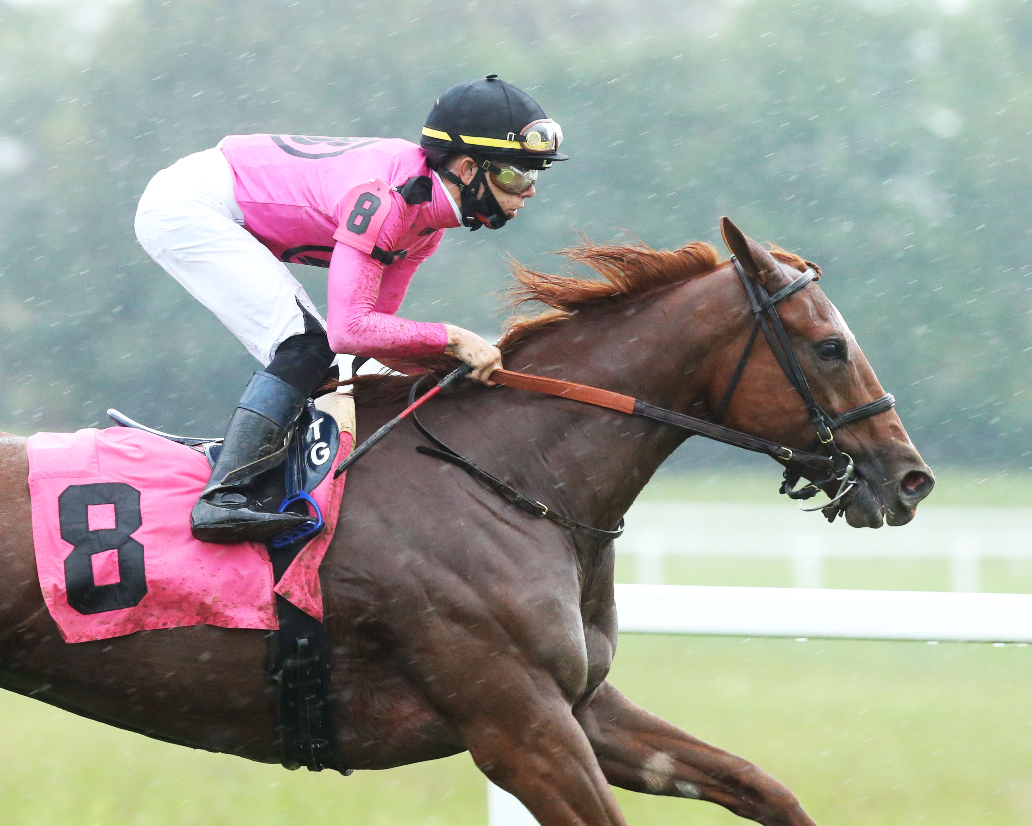 Got Stormy. Ladies' Sprint.09.12.2020