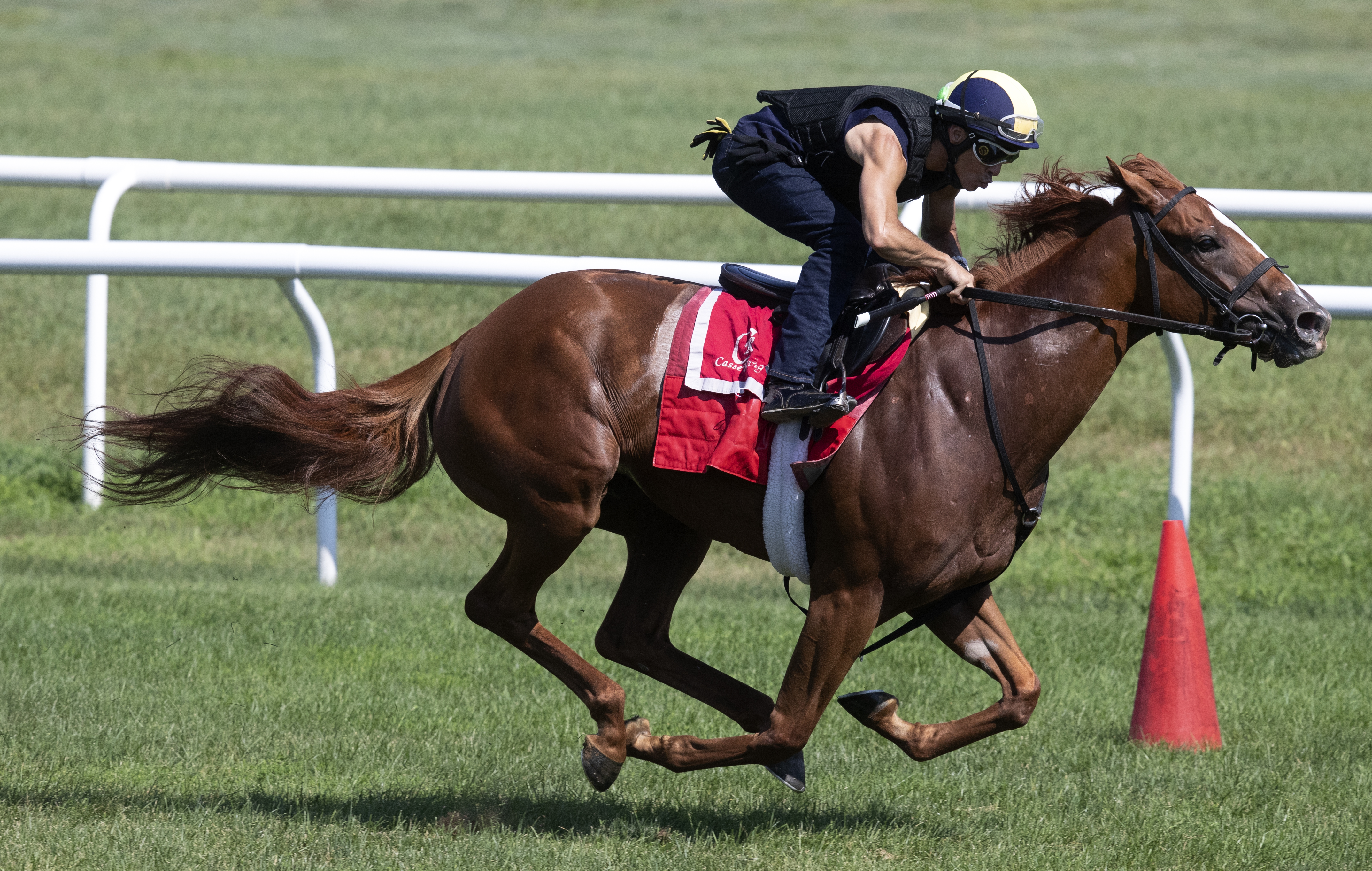 Got Stormy trains at Saratoga on 7.21.19