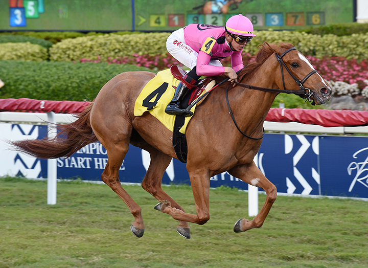 Got Stormy wins a March 7 allowance race at Gulfstream Park