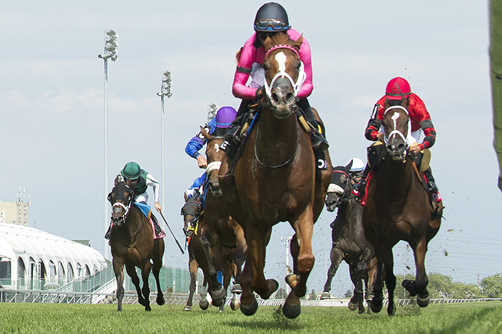 Got Stormy wins the 2018 Ontario Colleen Stakes