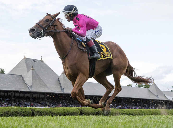 Got Stormy wins the 2019 Fourstardave at Saratoga Race Course