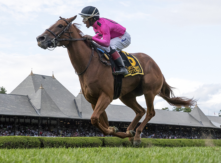 Got Stormy wins the 2019 Fourstardave at Saratoga Race Course