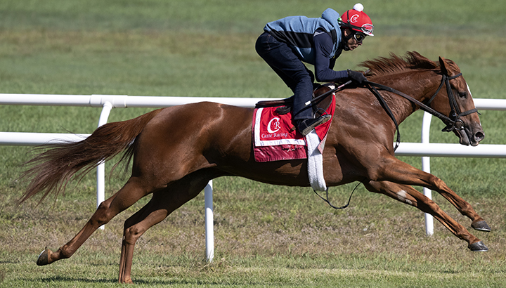 Got Stormy trains at Saratoga Race Course on Aug. 31