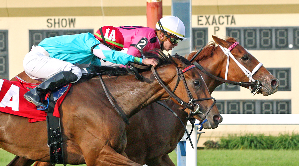 Got Stormy wins the Penn Oaks
