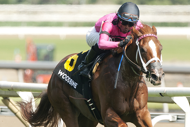 Got Stormy wins the 2018 Colleen Stakes