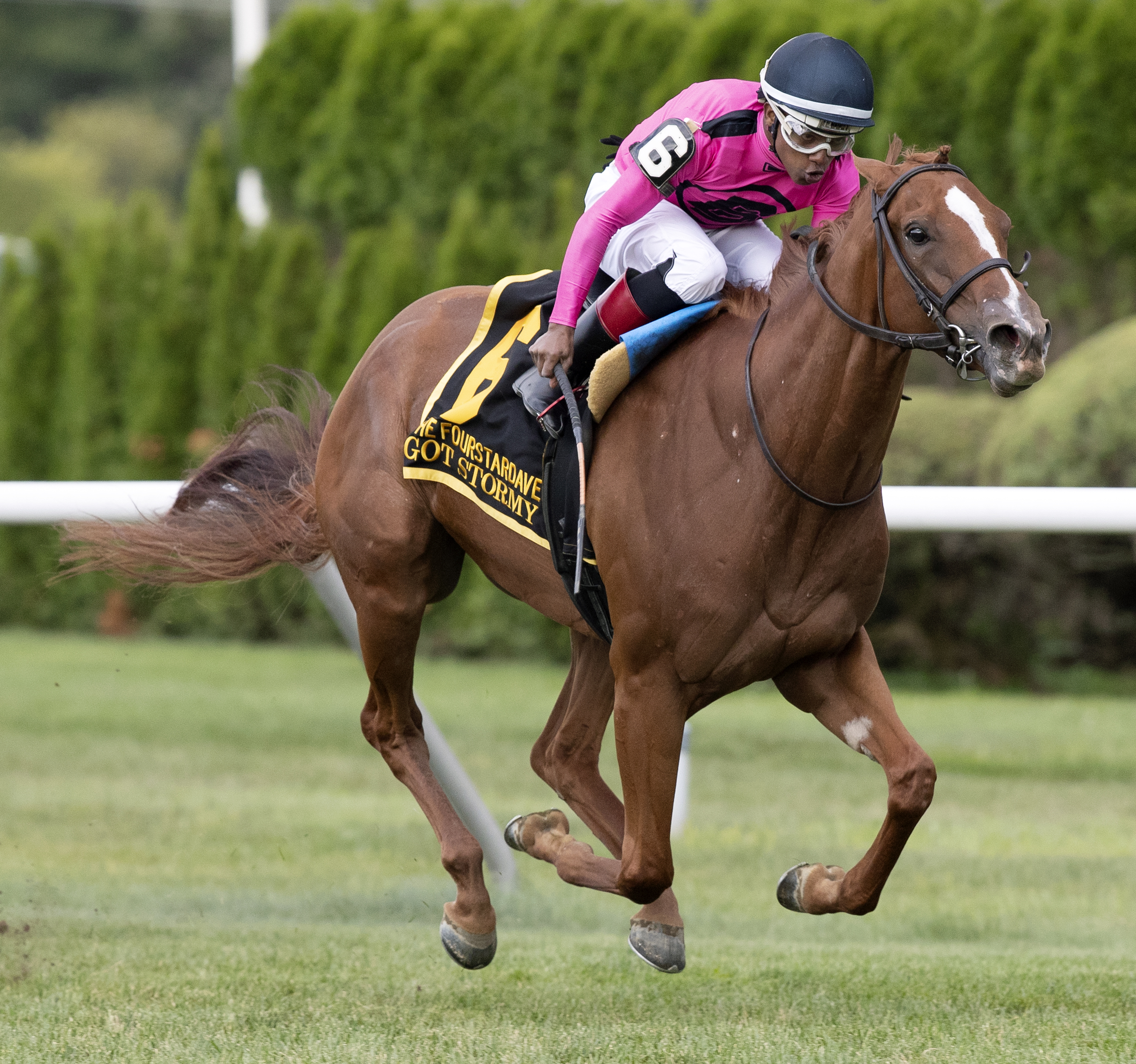 Got Stormy wins the 2019 Fourstardave