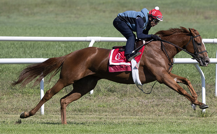 Got Stormy trains at Saratoga Race Course on Aug. 31