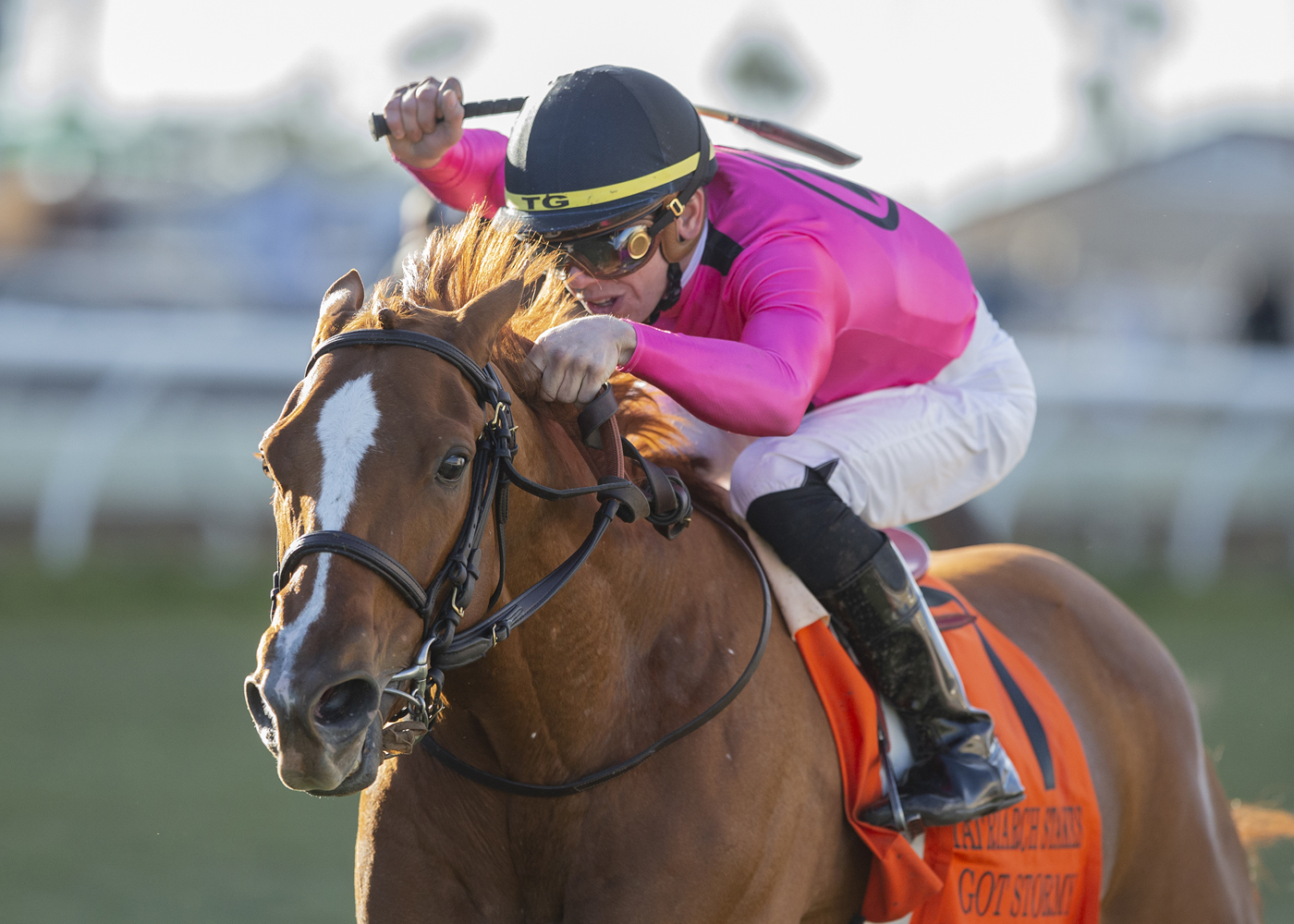 Got Stormy wins the 2019 Matriarch Stakes at Del Mar