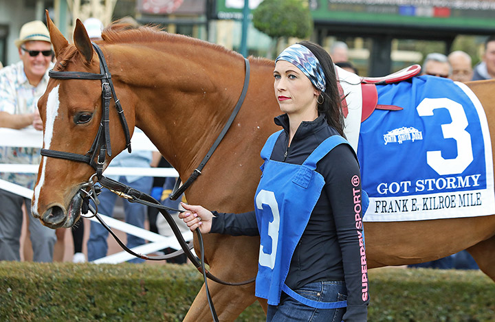 Got Stormy at Santa Anita Park on March 7