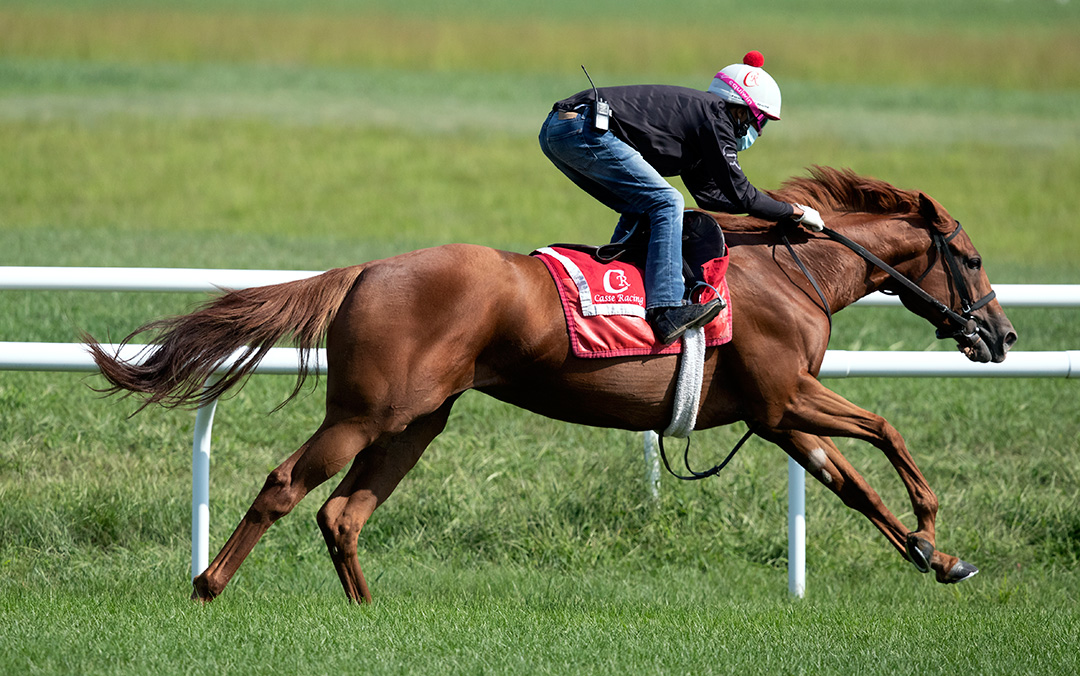 Got Stormy works on the Oklahoma turf course at Saratoga on Aug. 14