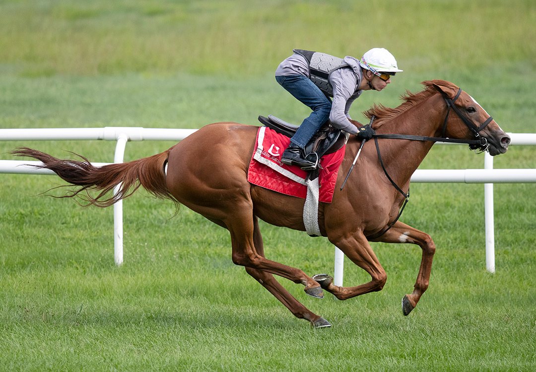 Got Stormy trains at Saratoga Race Course on Aug. 1