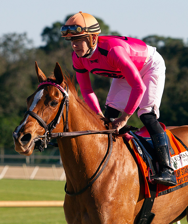 Got Stormy at the Endeavour Stakes at Tampa Bay Downs