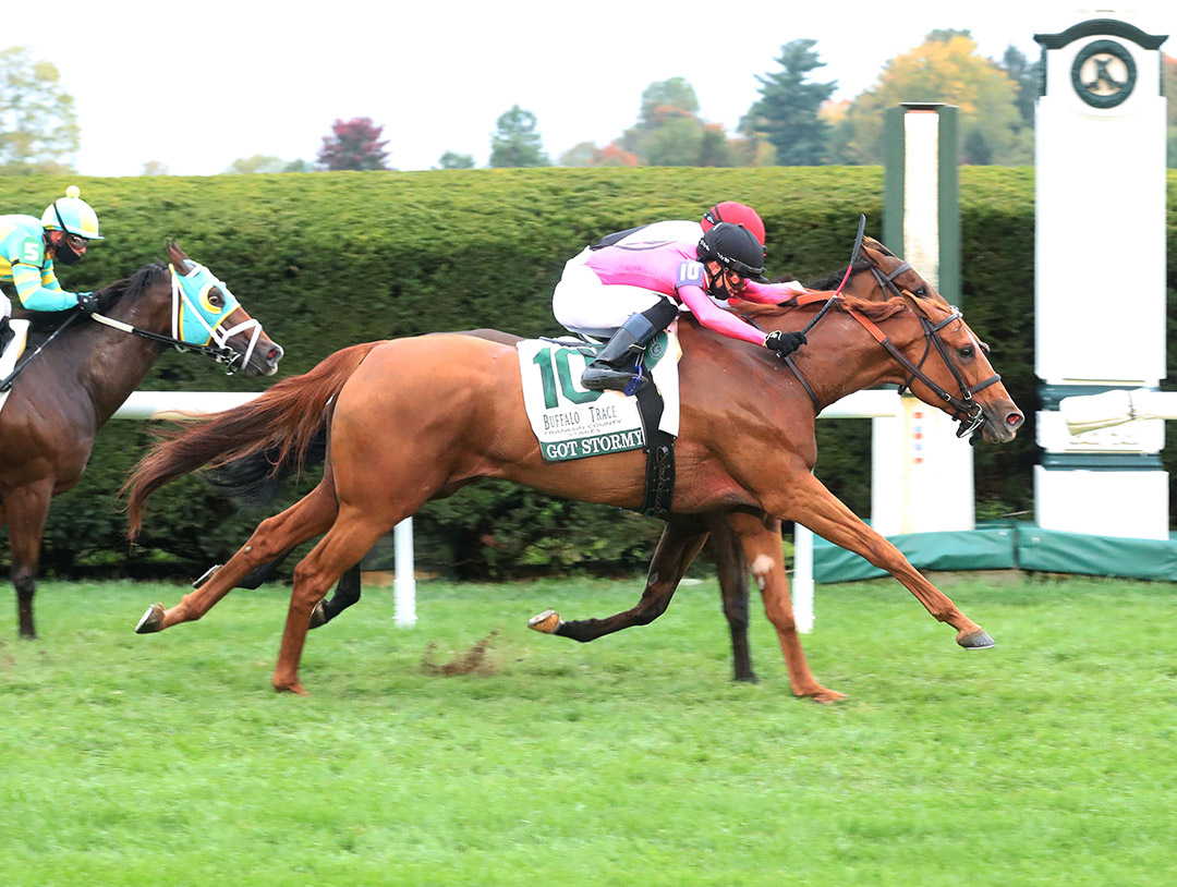 Got Stormy wins the 2020 Franklin County Stakes at Keeneland