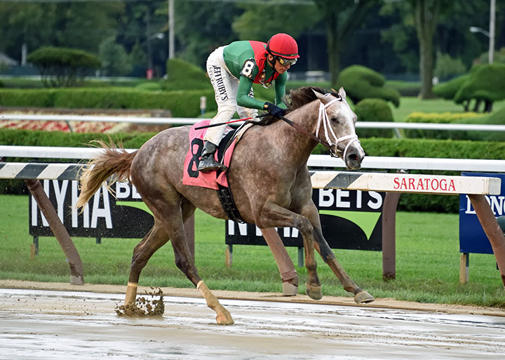Gouverneur Morris wins a Sept. 2 maiden race at Saratoga Race Course