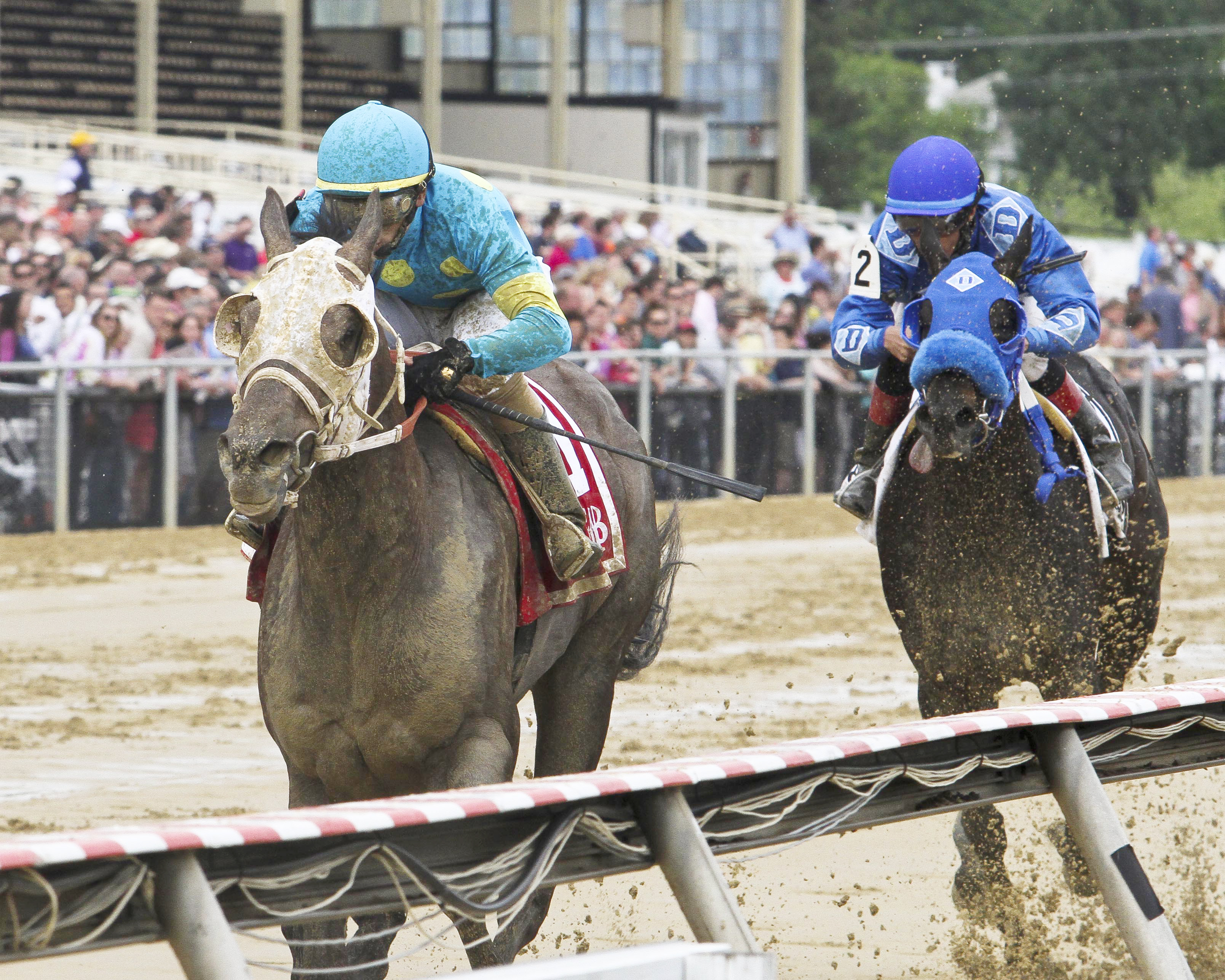Governmentshutdown wins the Rollicking Stakes
