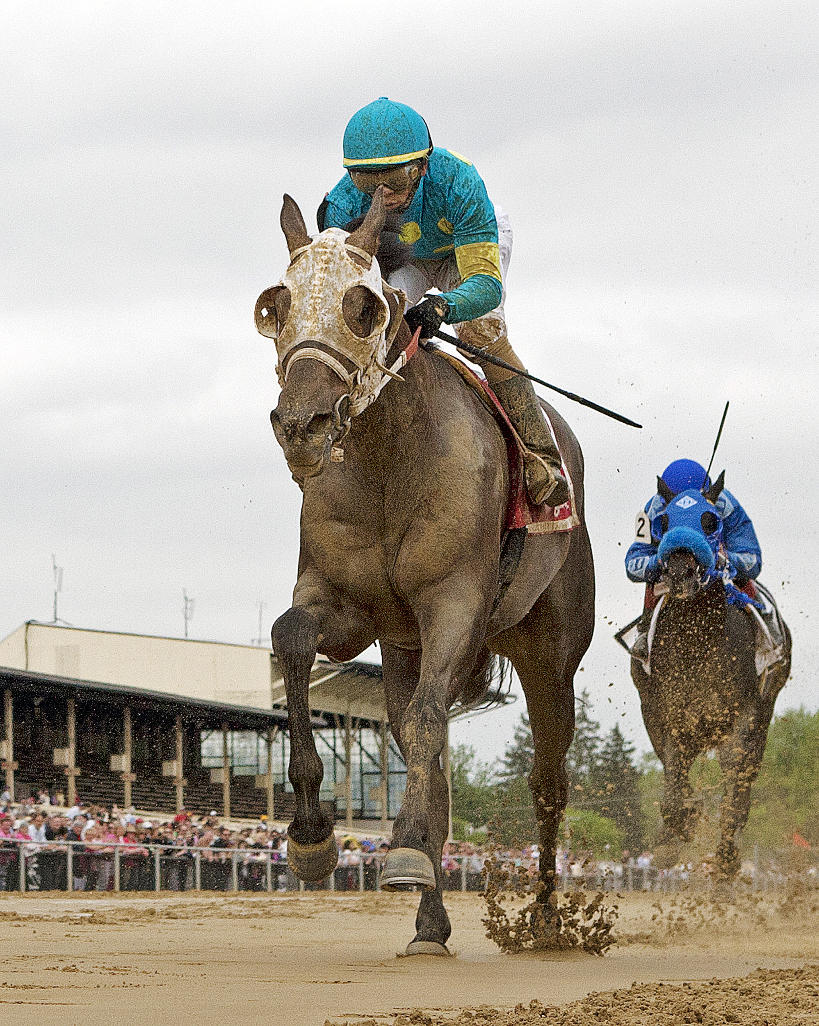 Governmentshutdown wins the Rollicking Stakes