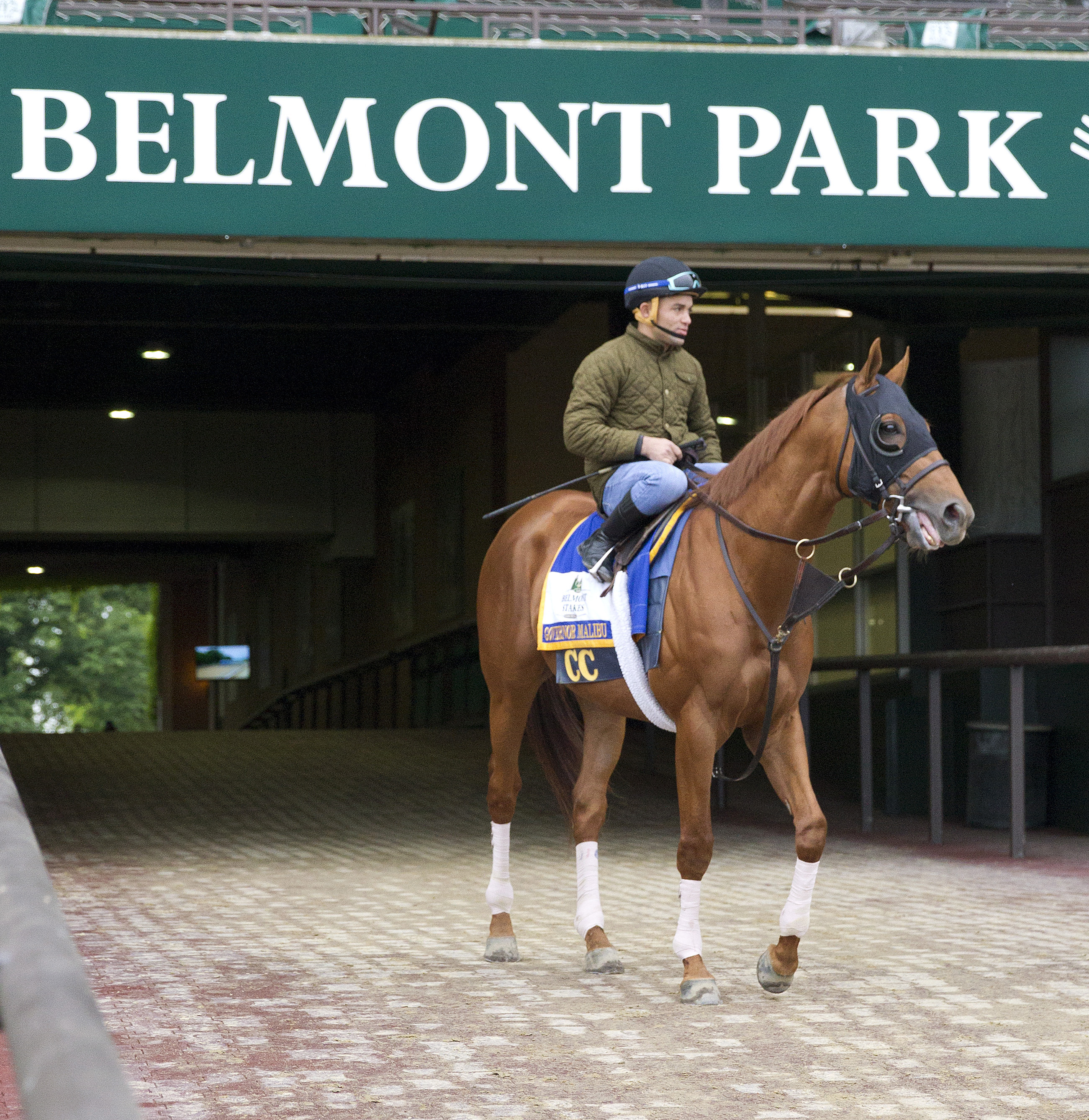 Governor Malibu at Belmont Park on June 3