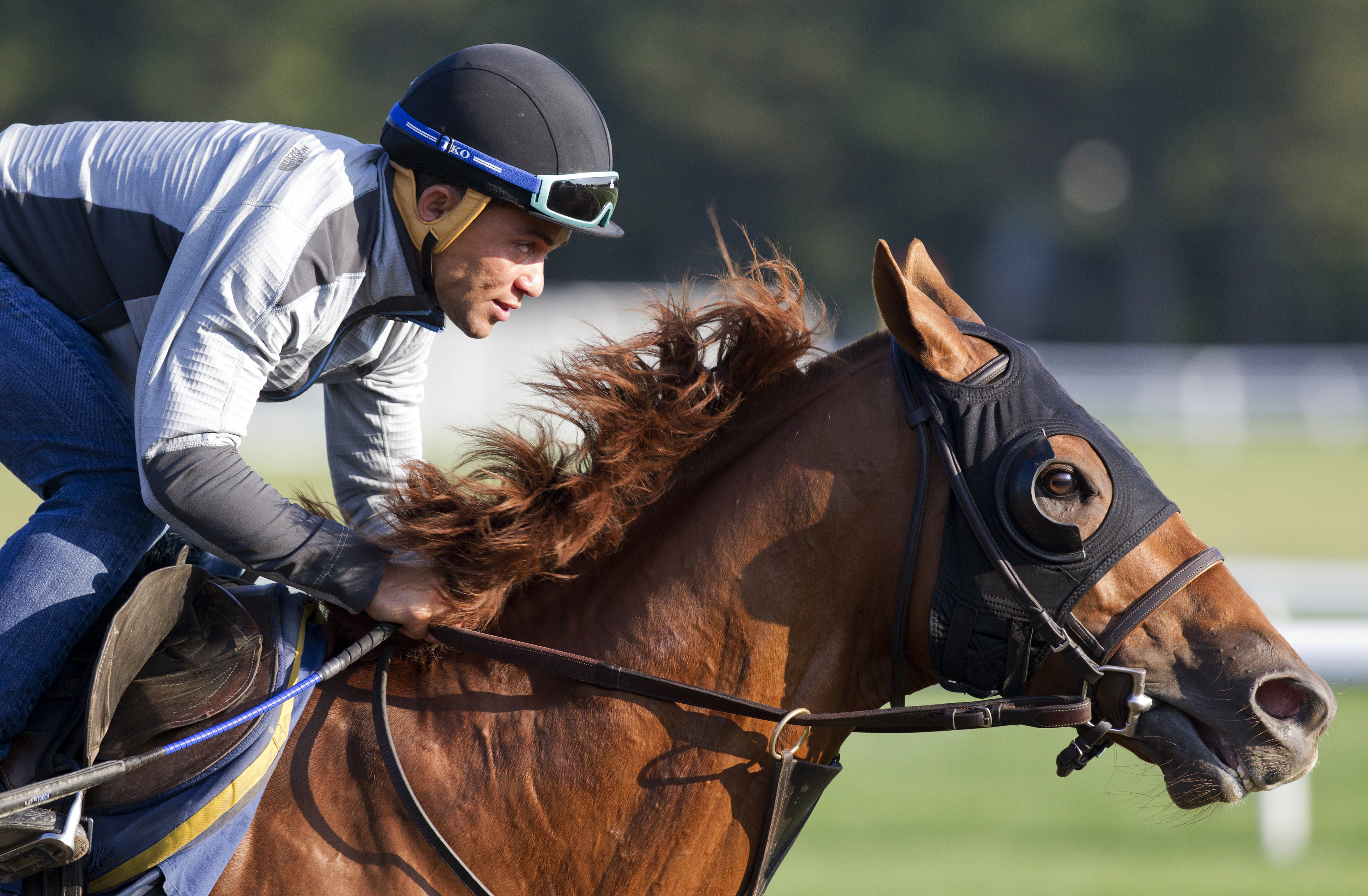 Governor Malibu trains at Saratoga on Aug. 19