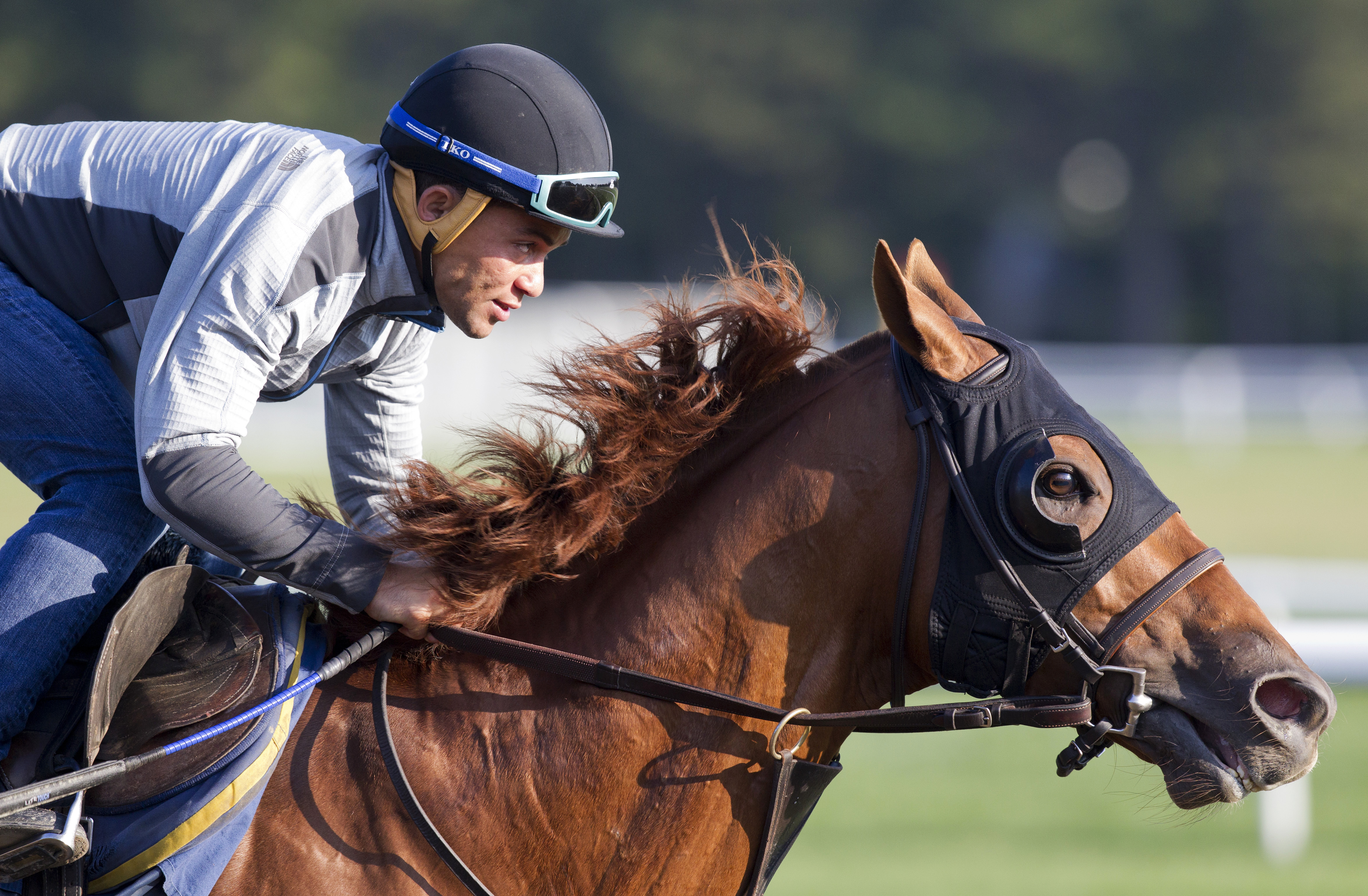 Governor Malibu trains at Saratoga on Aug. 19