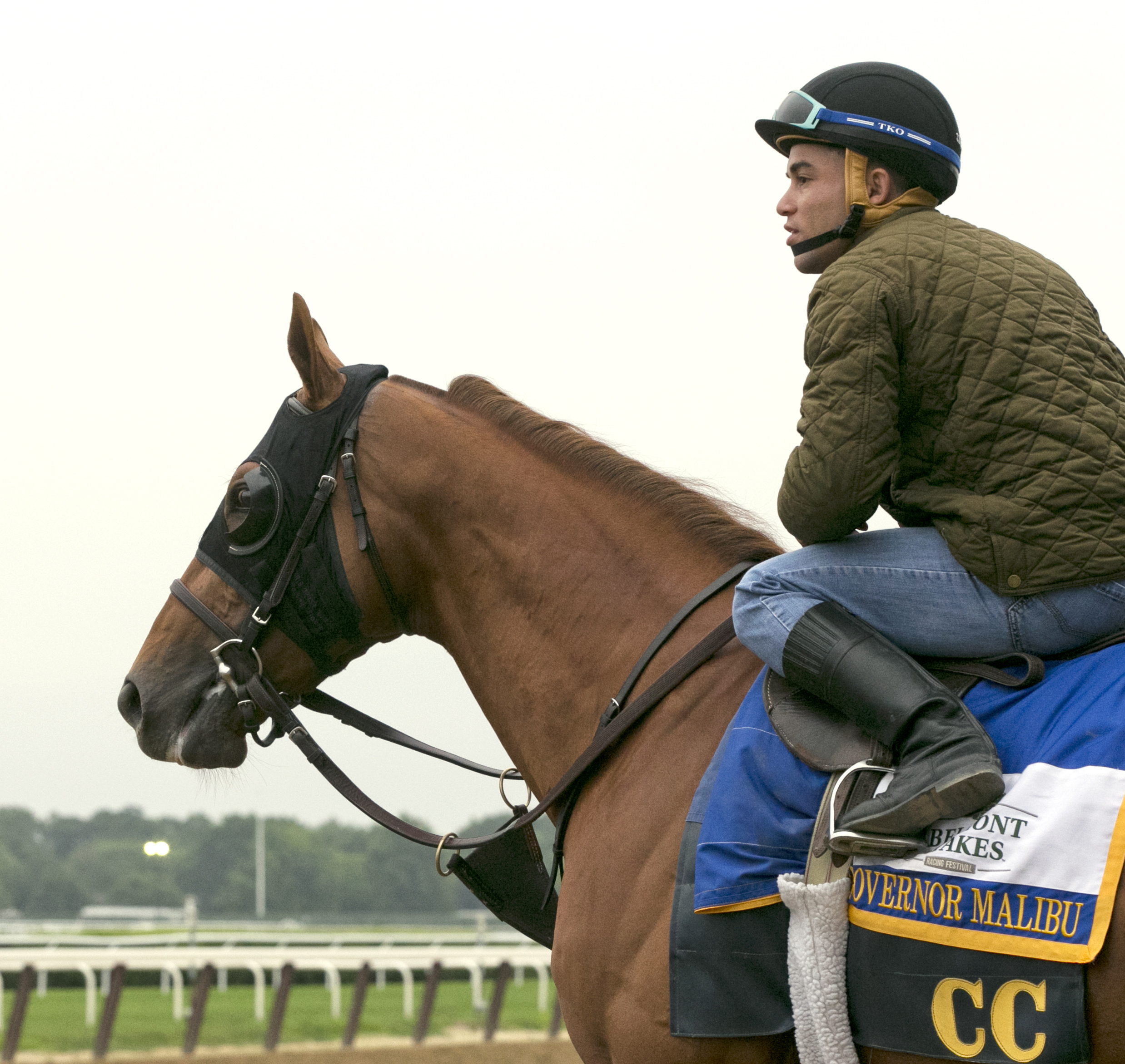 Governor Malibu at Belmont Park on June 3
